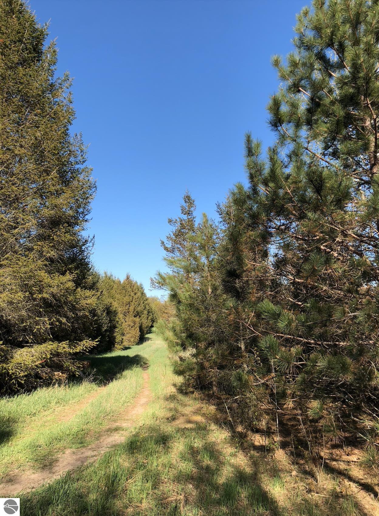 00 W Deborah Ann Trail