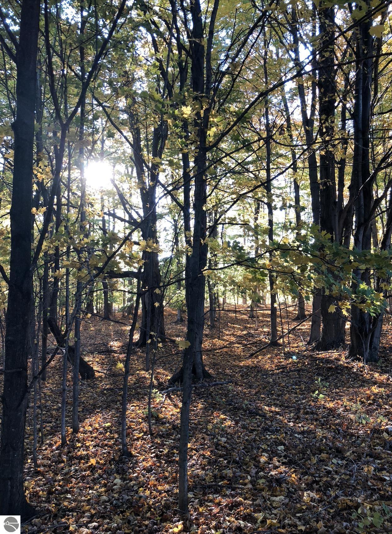 00 W Deborah Ann Trail