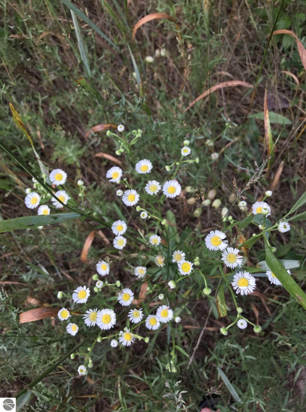 00 W Deborah Ann Trail