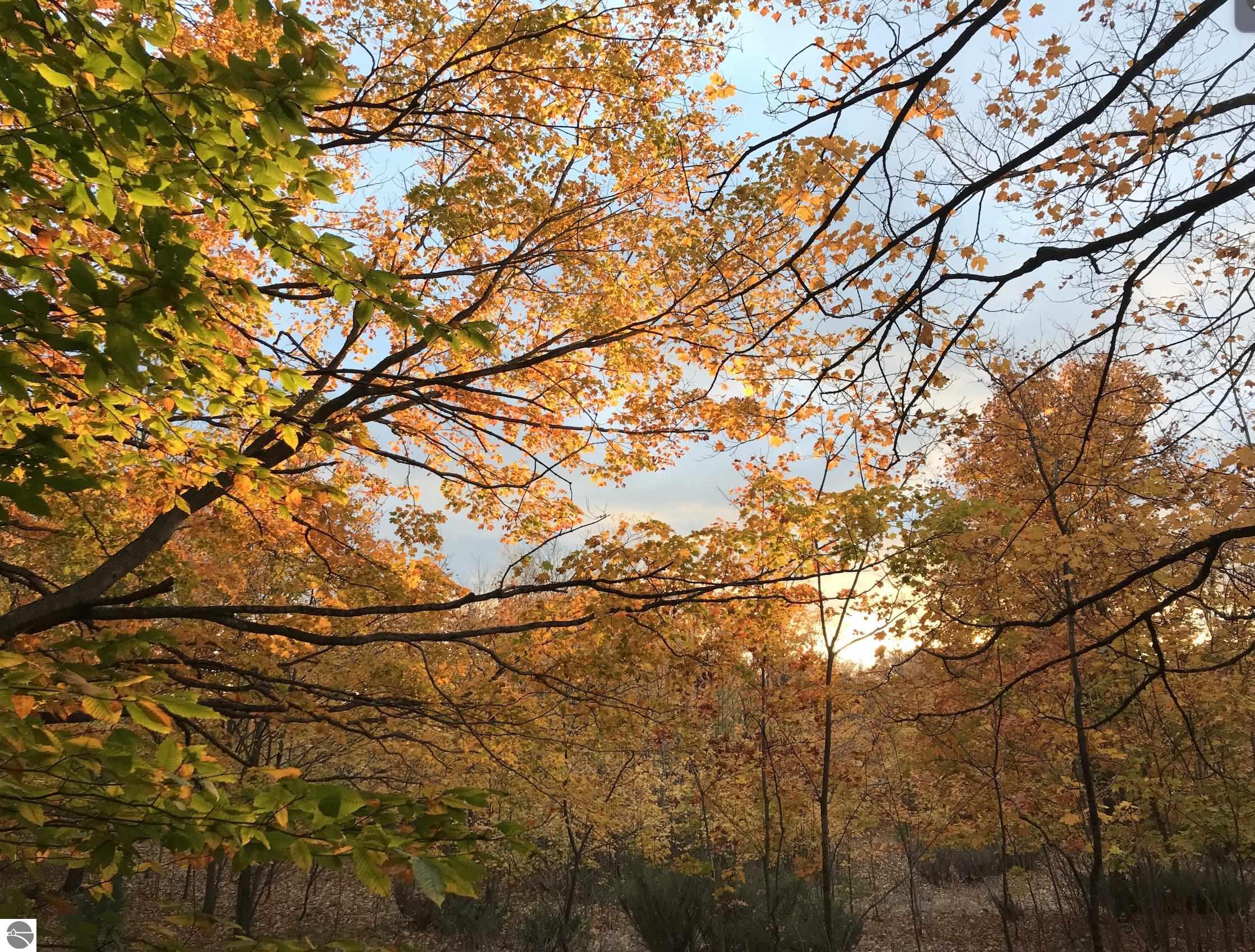 00 W Deborah Ann Trail