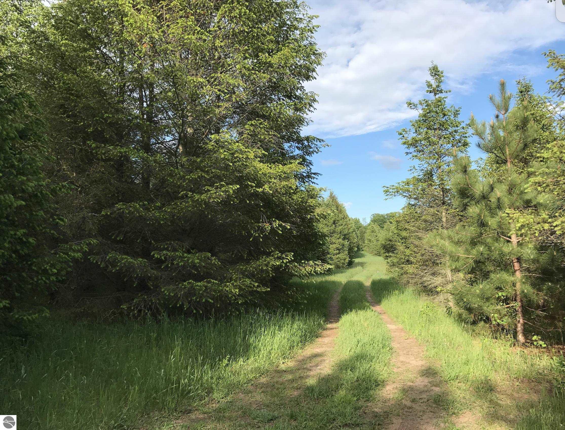 00 W Deborah Ann Trail