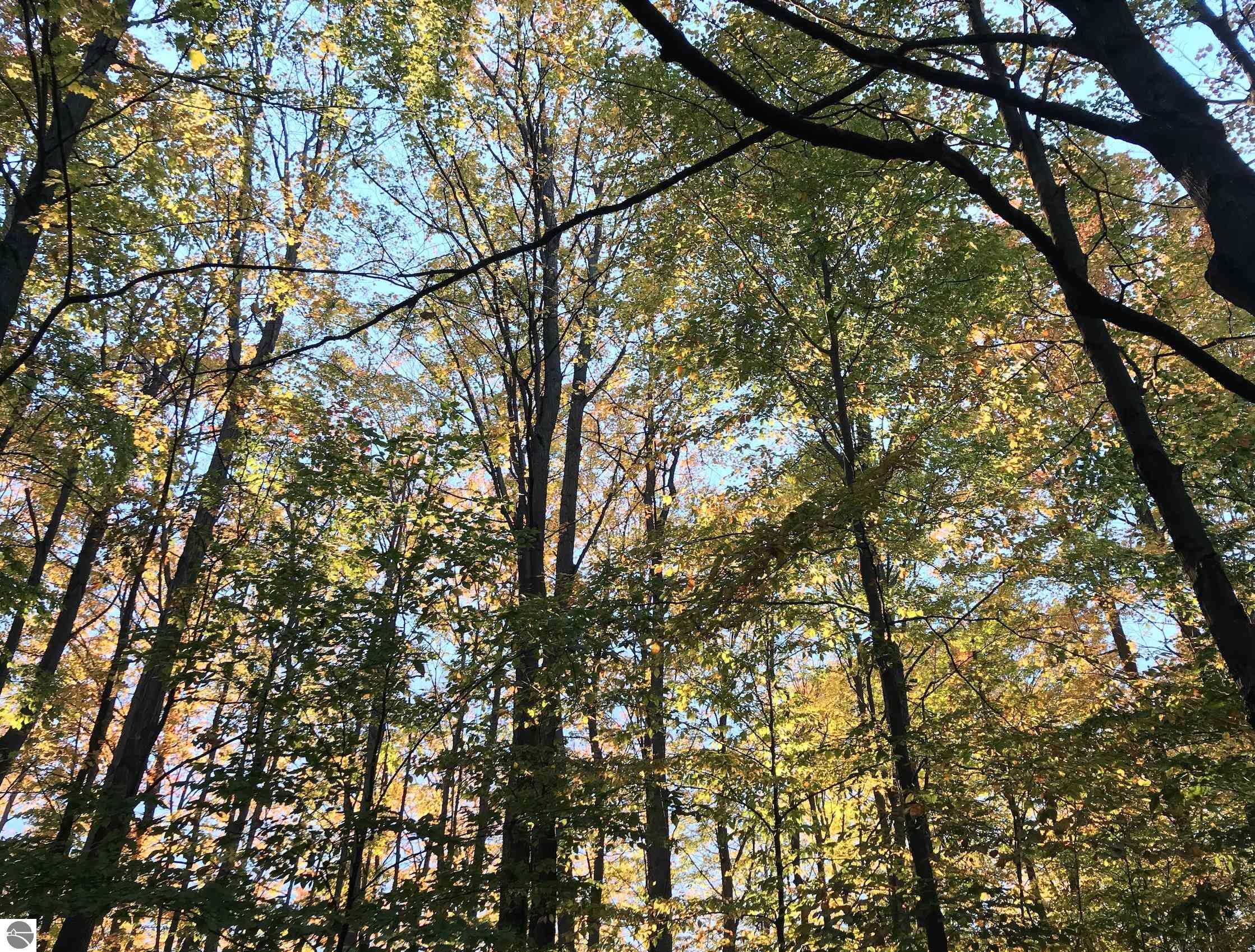 00 W Deborah Ann Trail