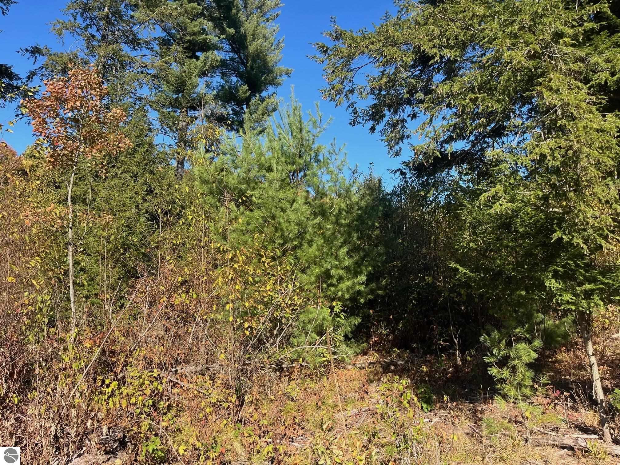 8886 Hemlock Hill Drive