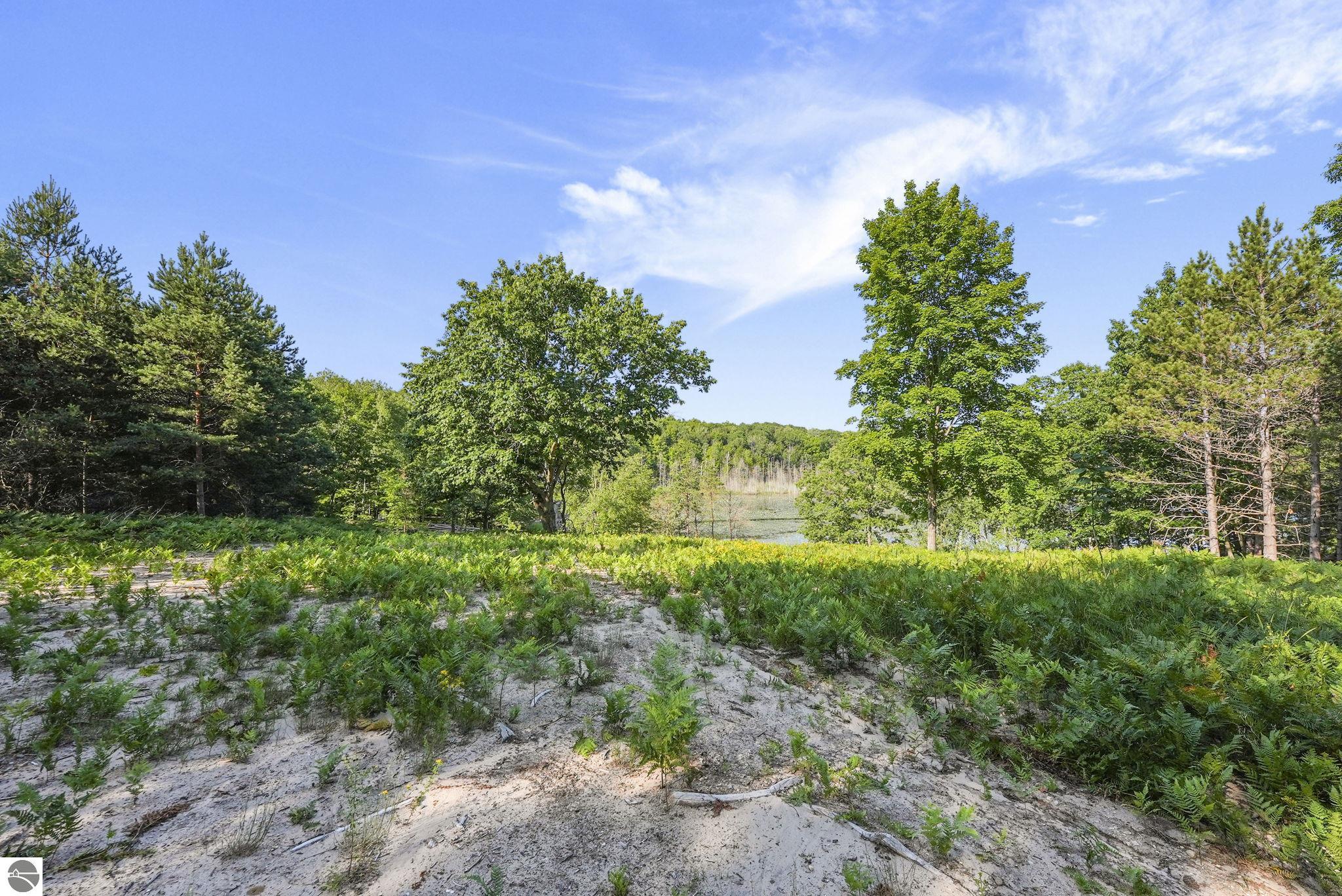 16963 Parcel C Gray Heirs Road