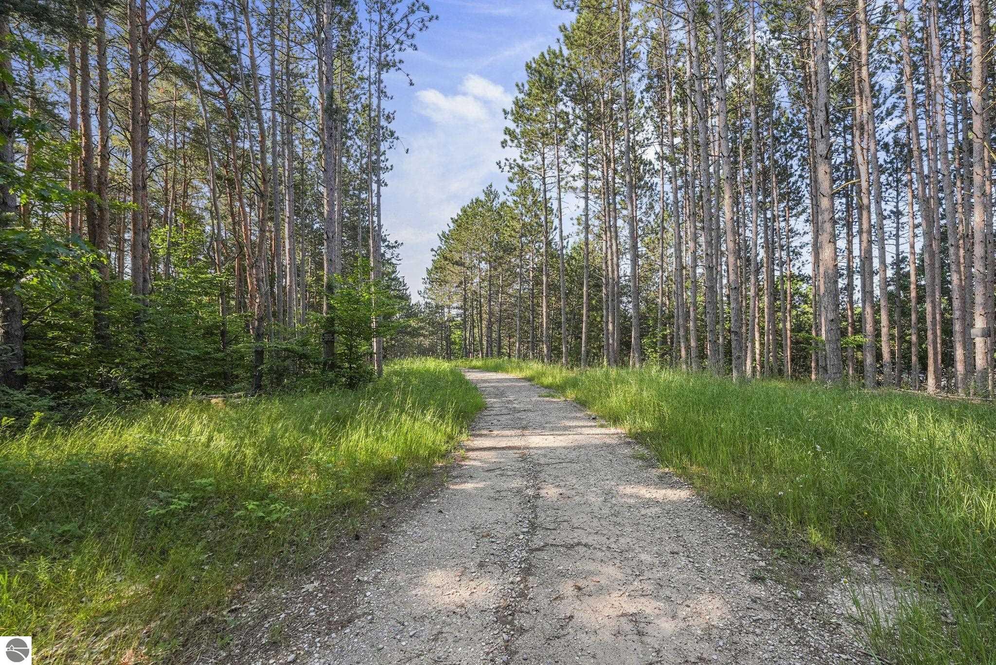 16963 Parcel C Gray Heirs Road