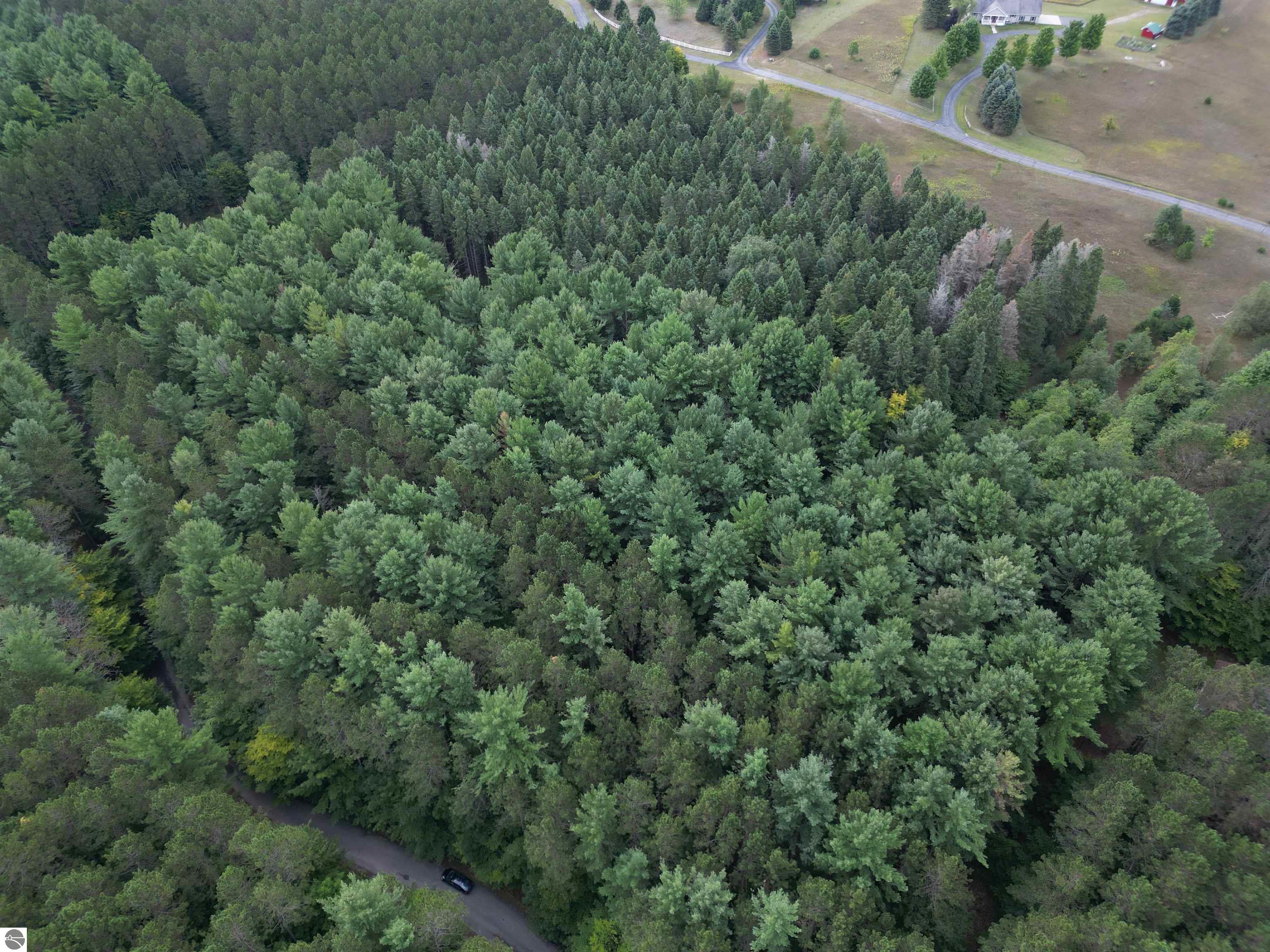 0000 W Timber Lane