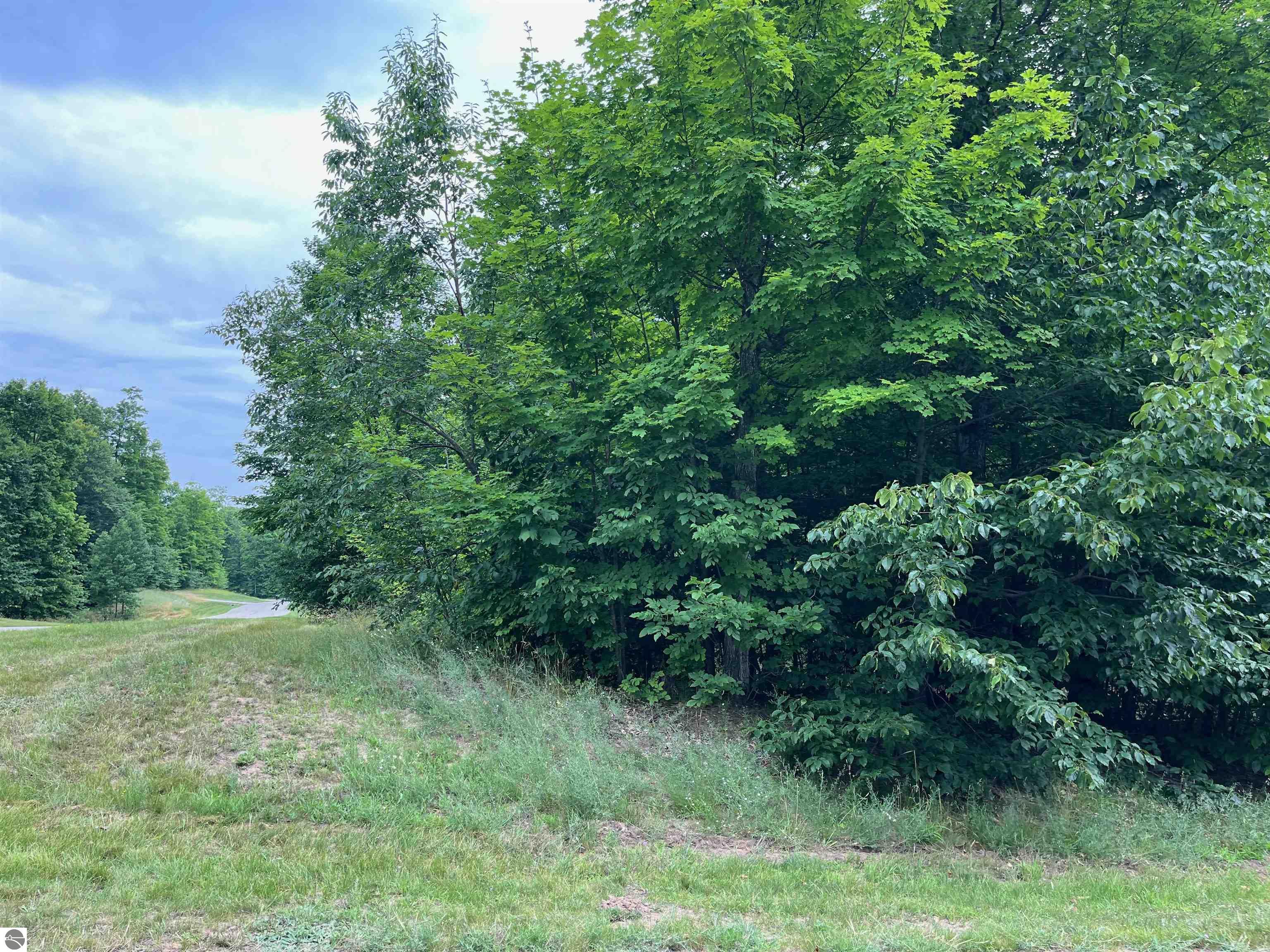 011 W Timber View Trail