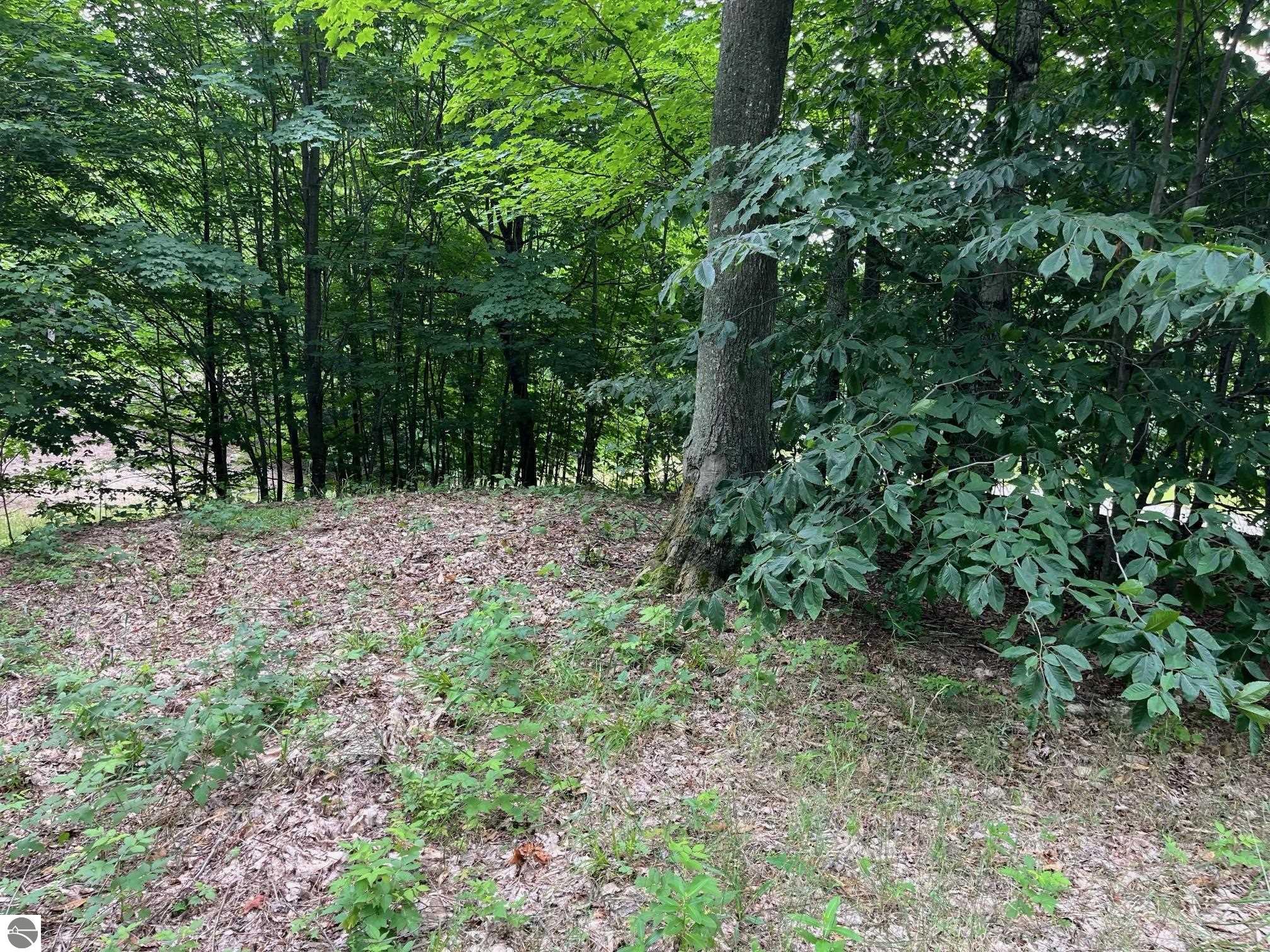 011 W Timber View Trail