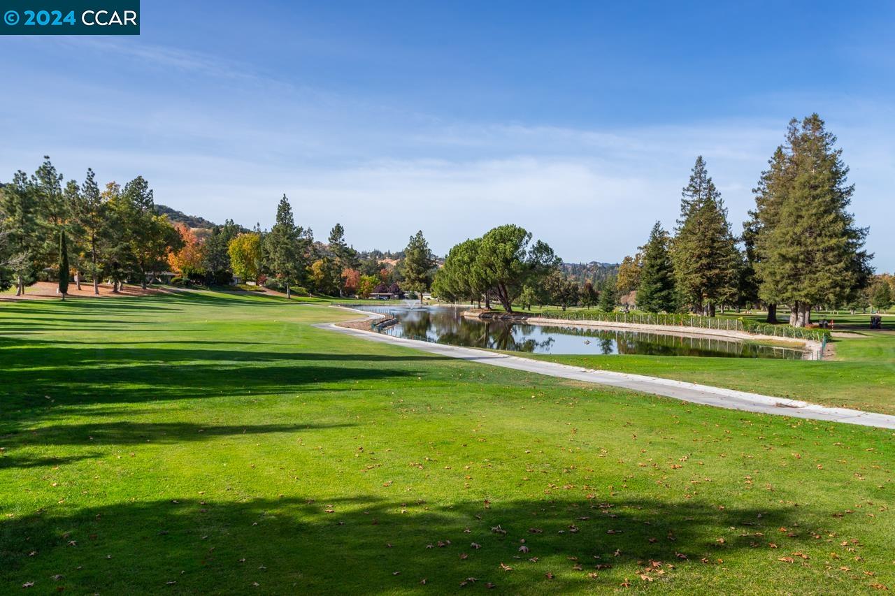 2921 Ptarmigan Dr # 4