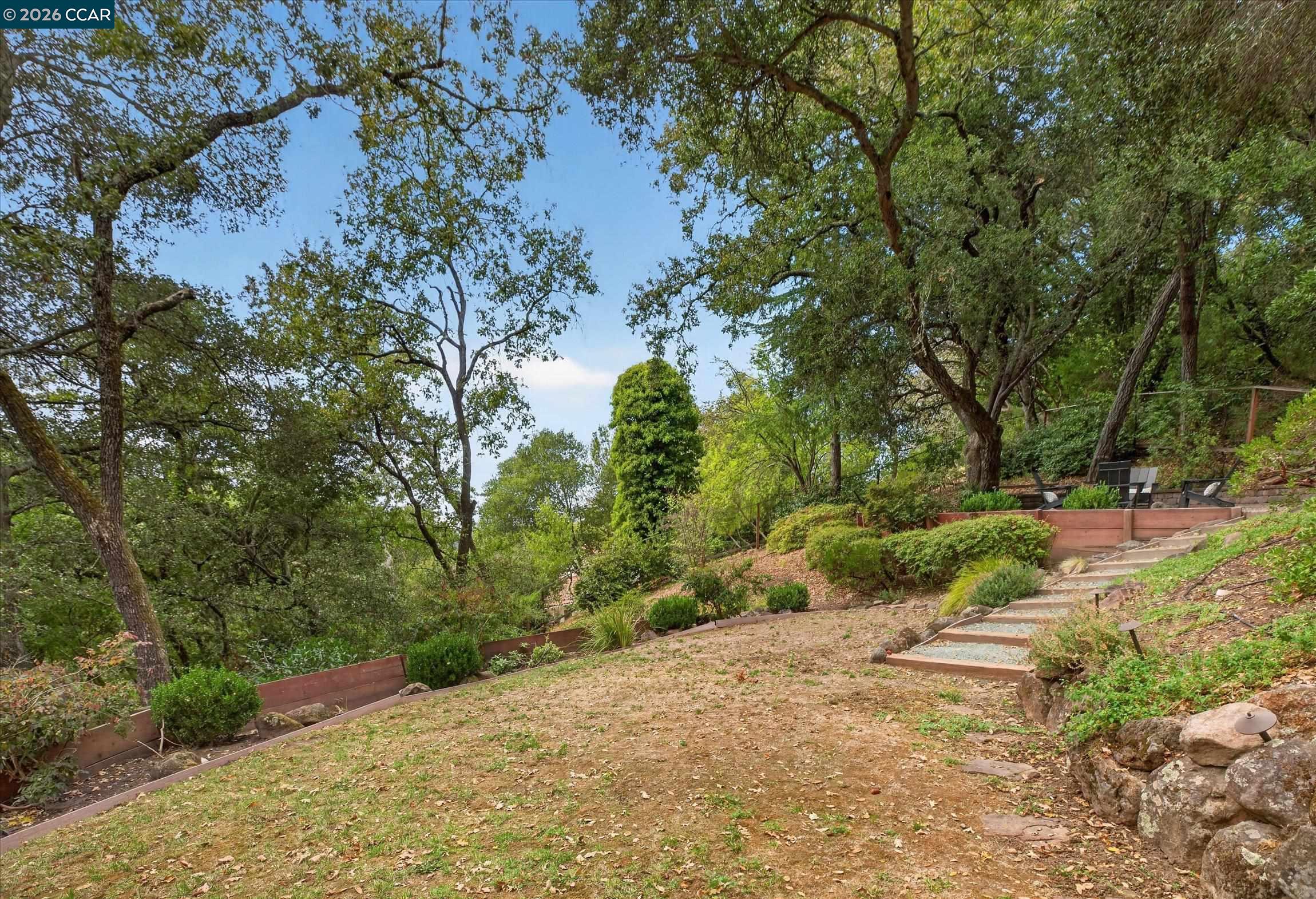 6 El Patio
