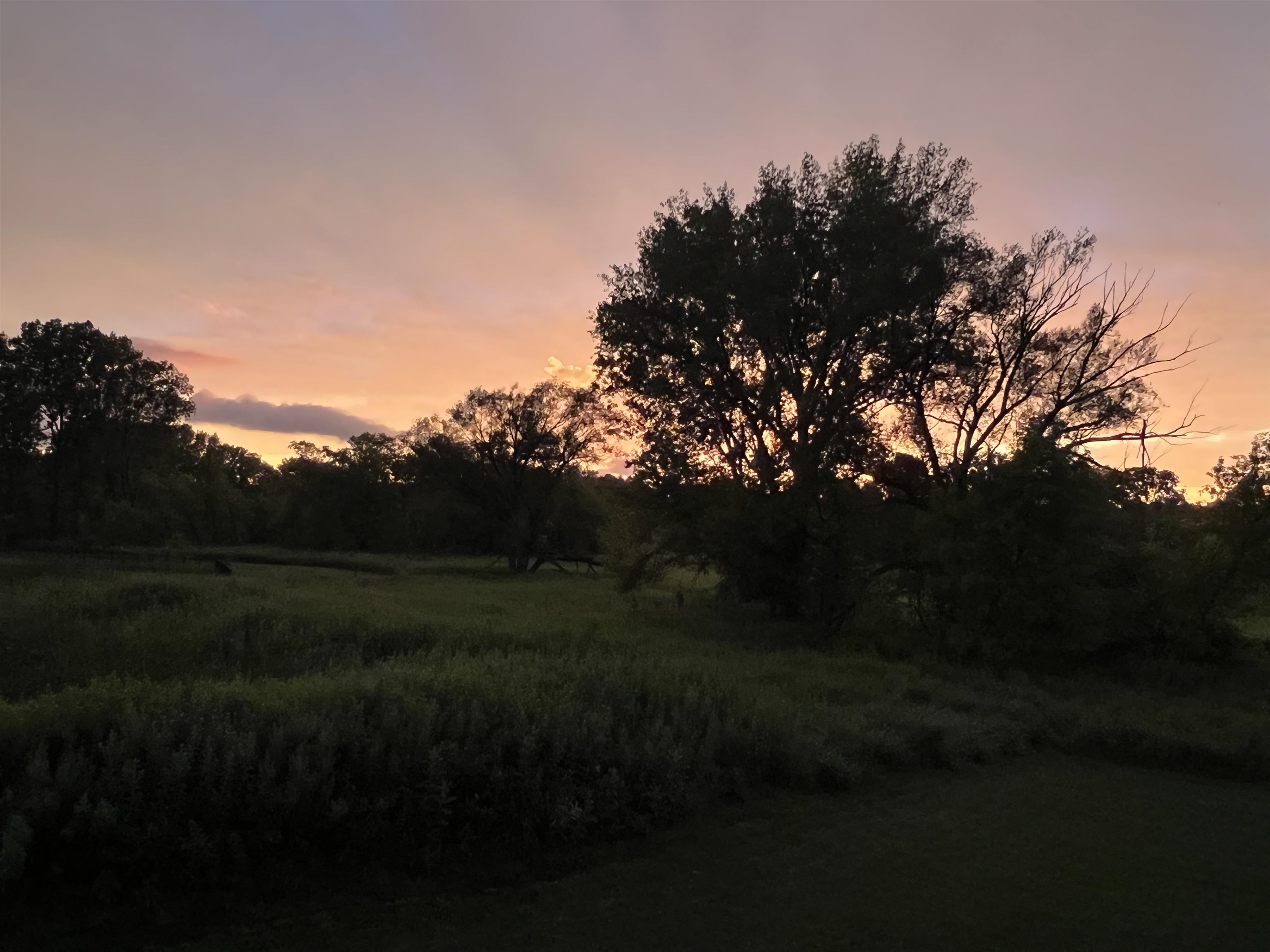 7814 Bluestem Trail