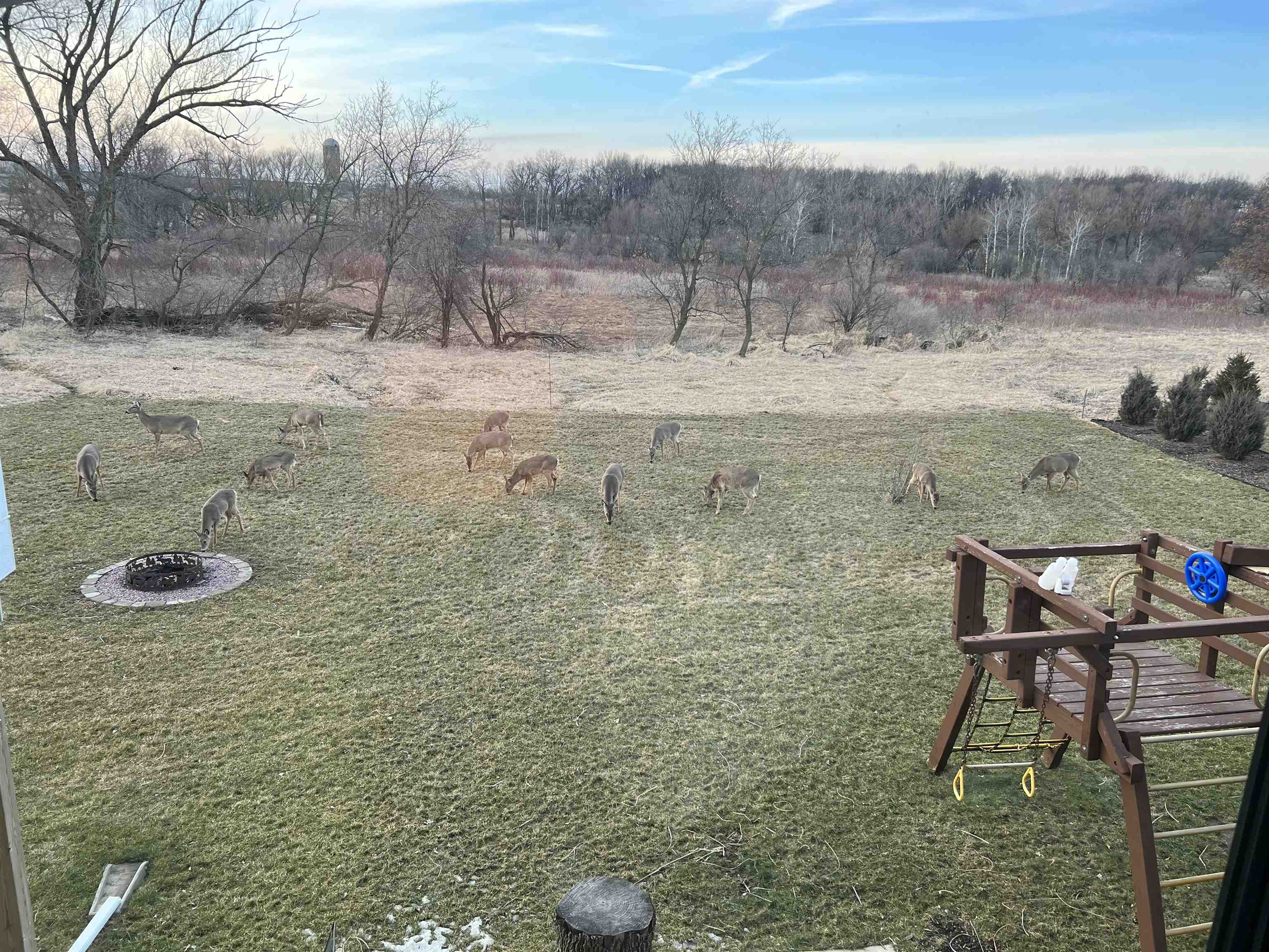 7814 Bluestem Trail