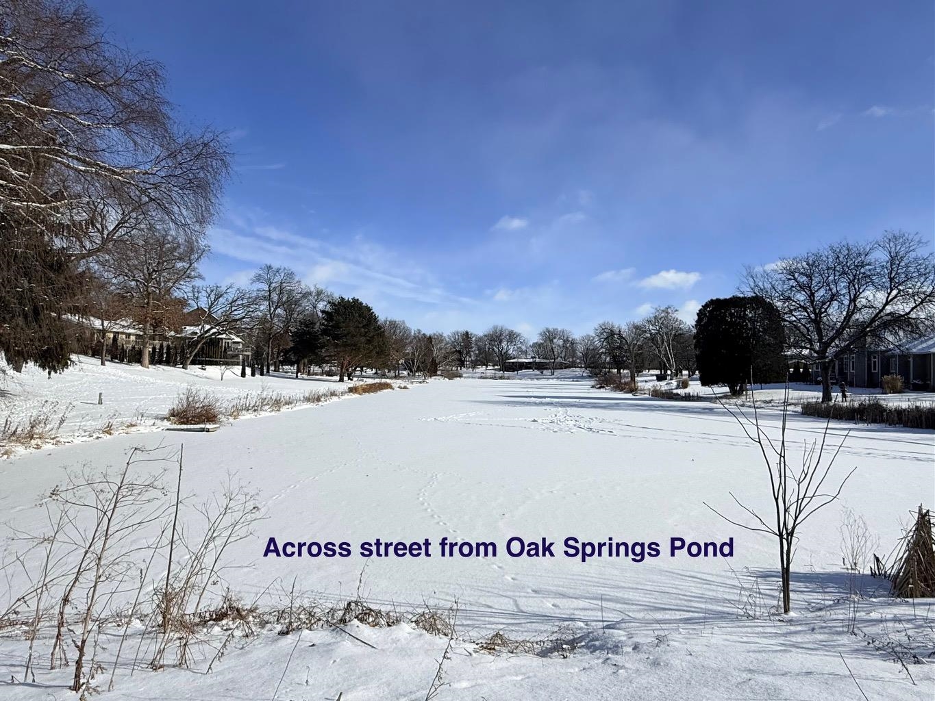 105 Oak Springs Circle