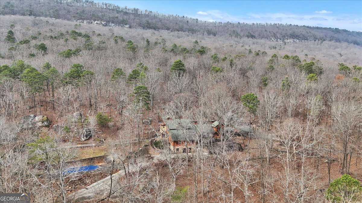 1478 Shinbone Valley Rd