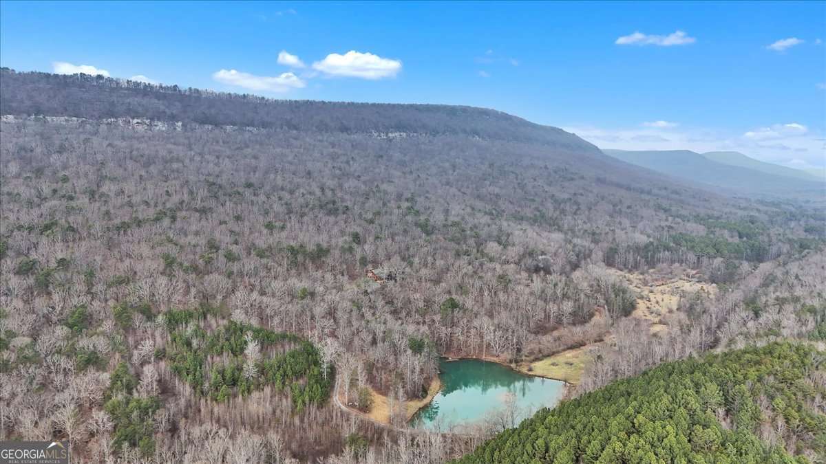 1478 Shinbone Valley Rd