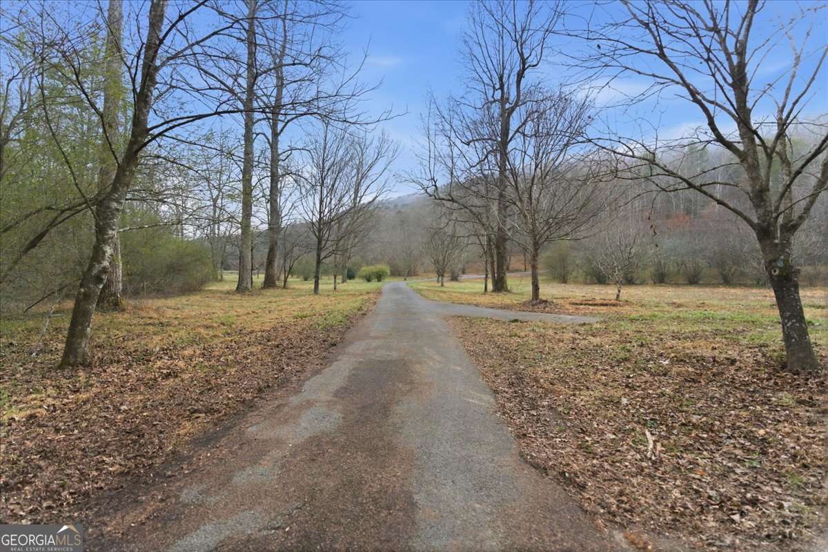 1478 Shinbone Valley Rd