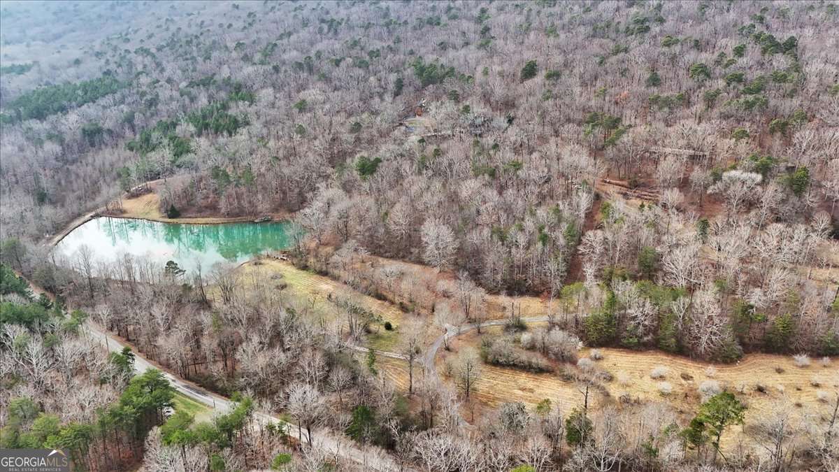 1478 Shinbone Valley Rd