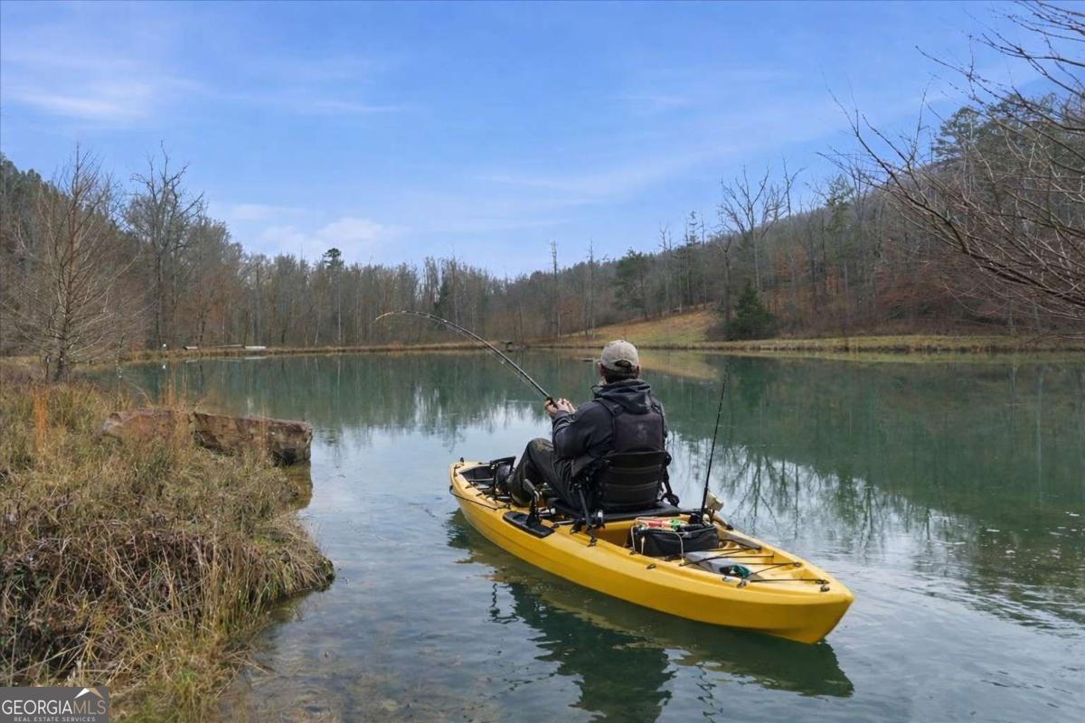 1478 Shinbone Valley Rd