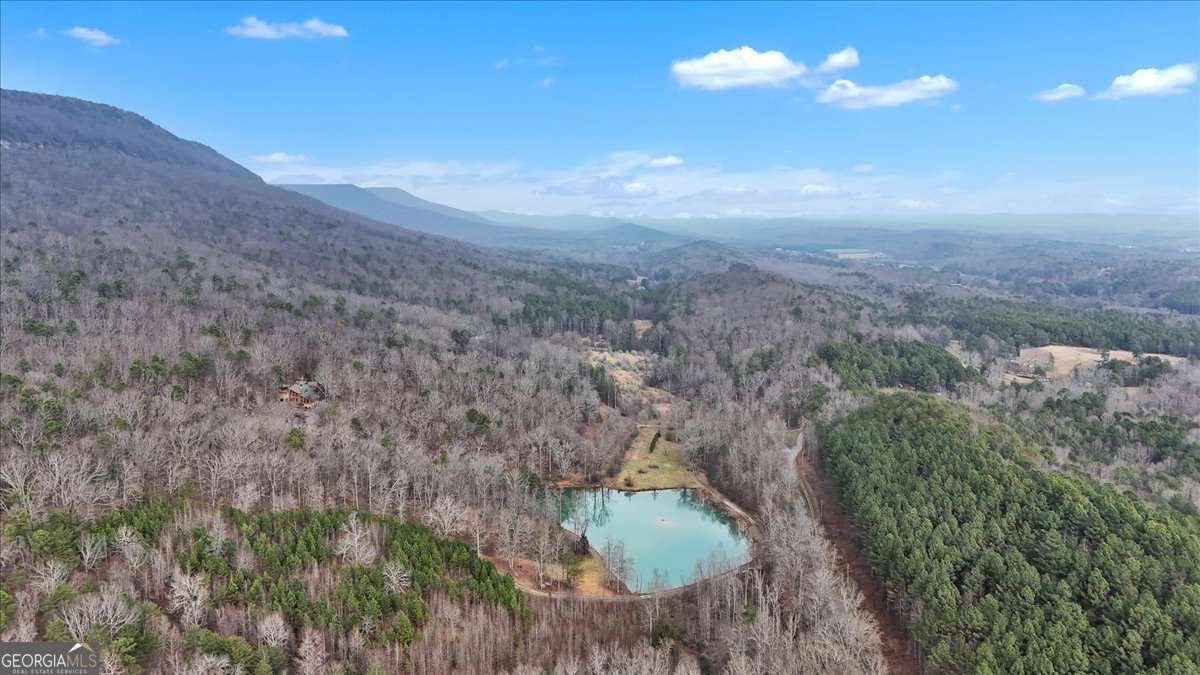 1478 Shinbone Valley Rd