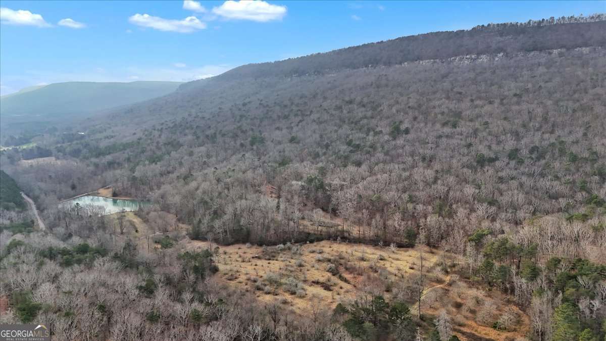 1478 Shinbone Valley Rd