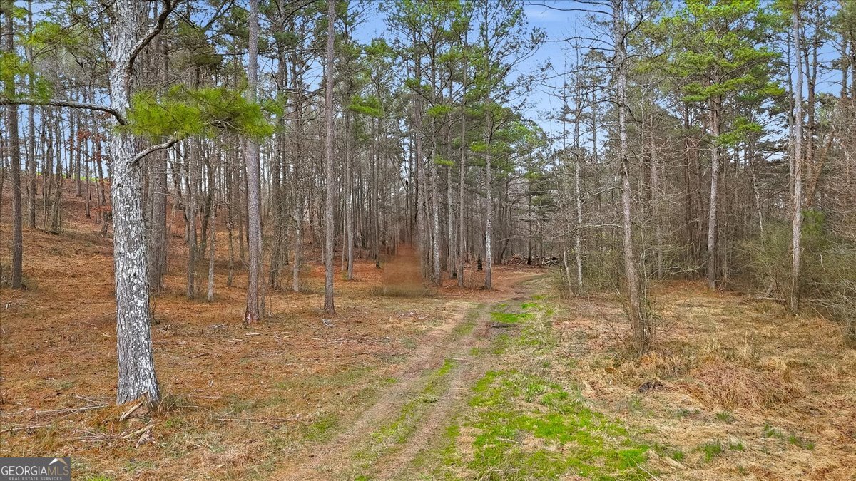 145 Moores Ferry Drive SW