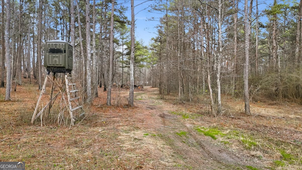 145 Moores Ferry Drive SW