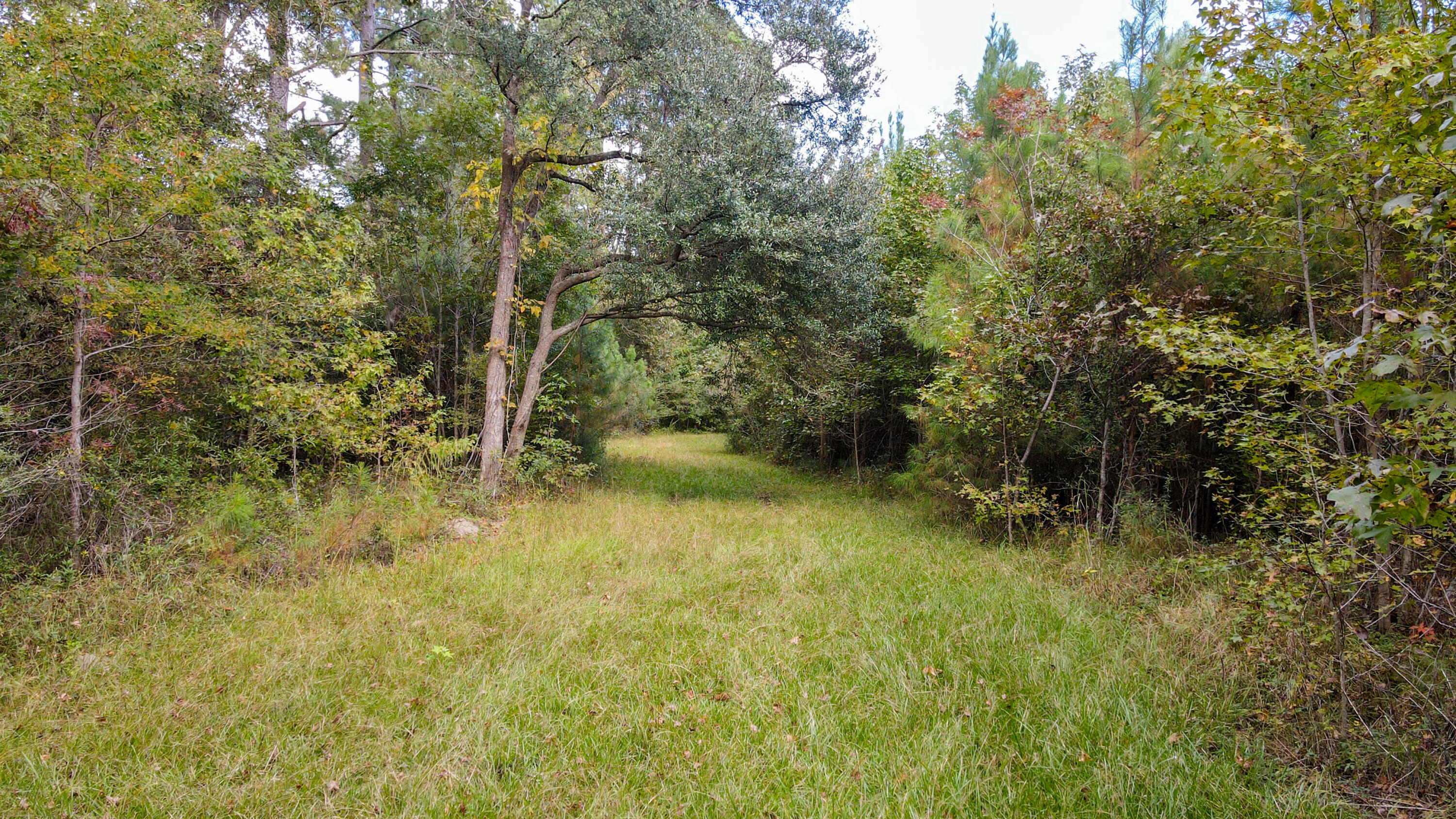 155 Goldenrod Lane