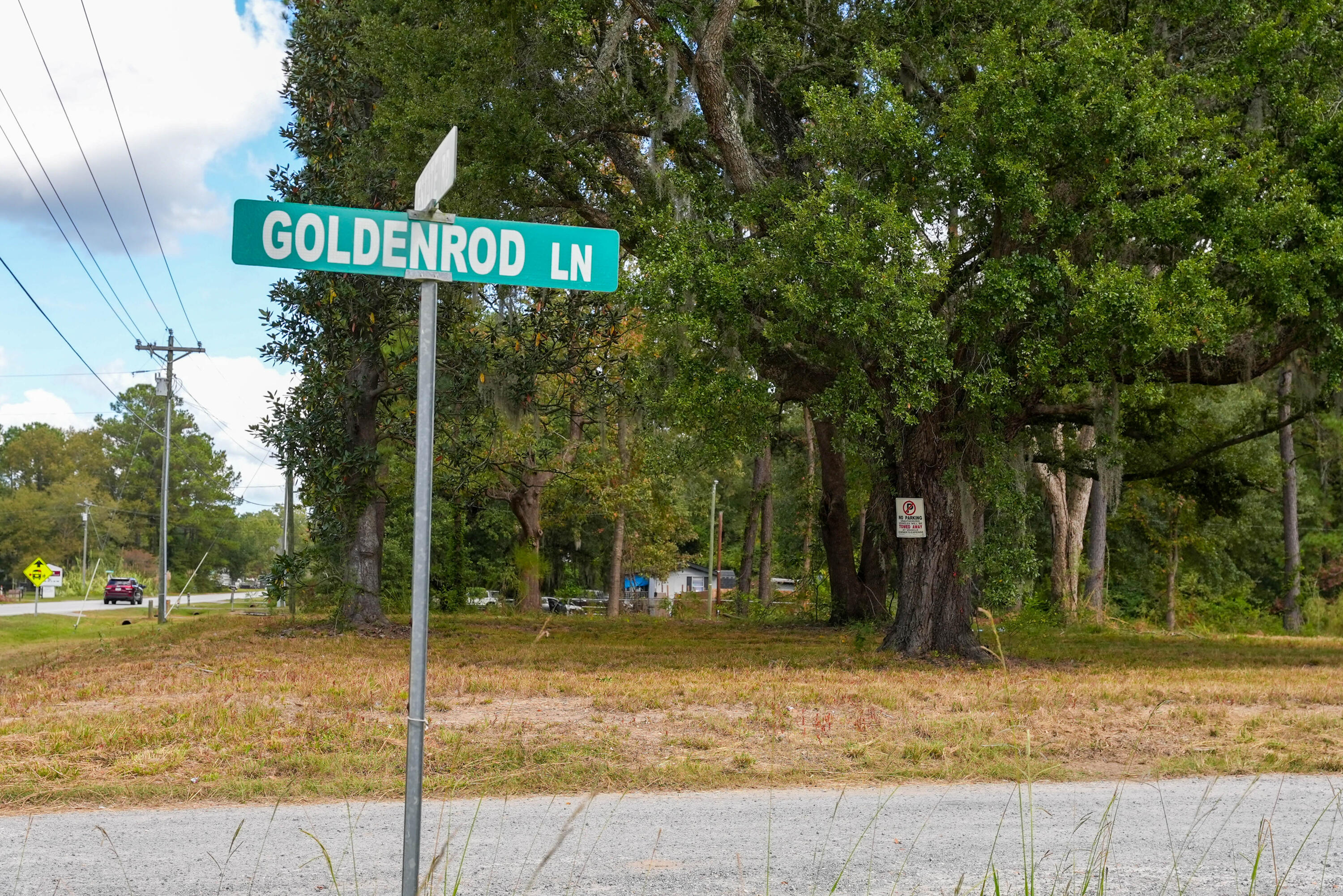 155 Goldenrod Lane