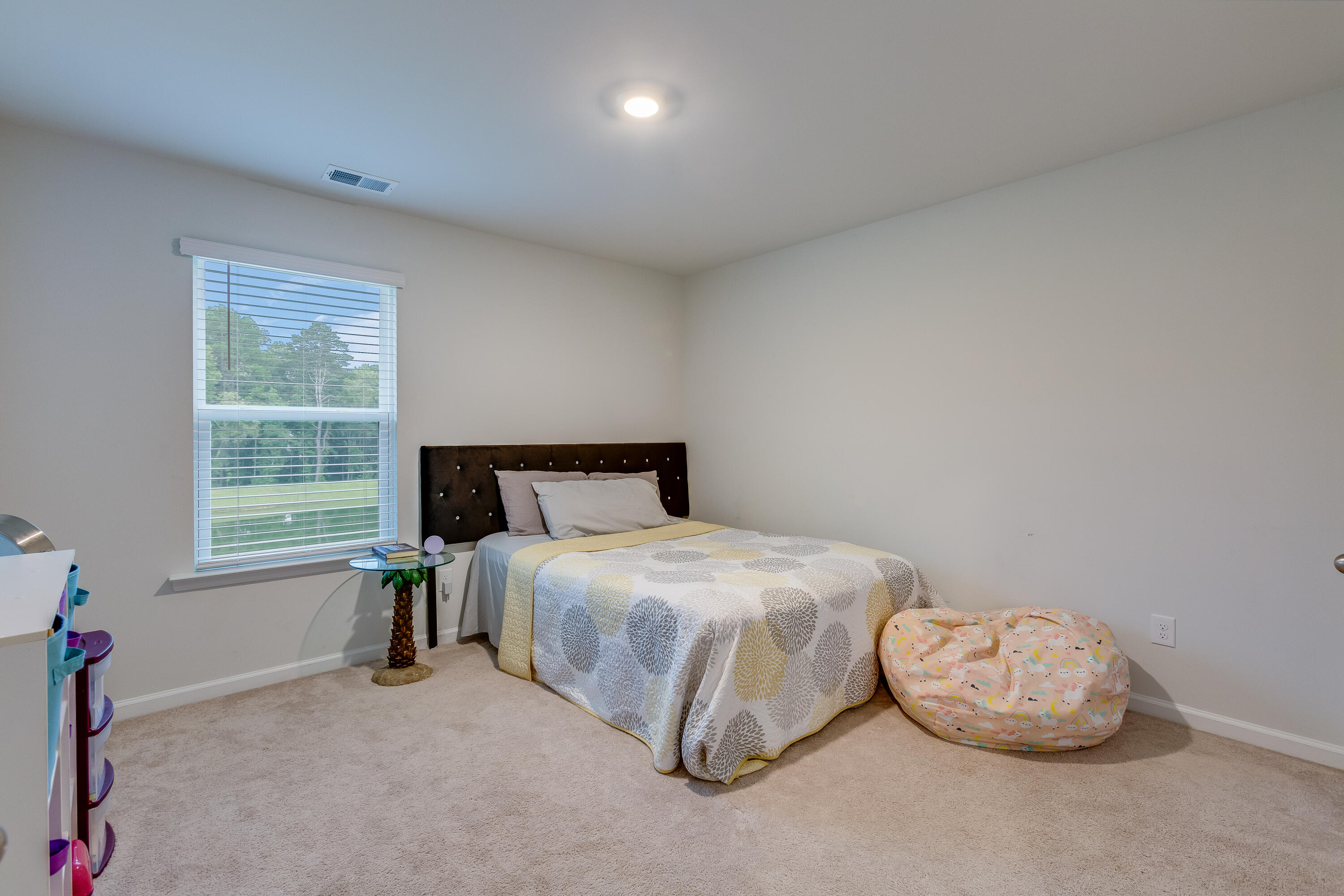 113 Cardinal Flower Court