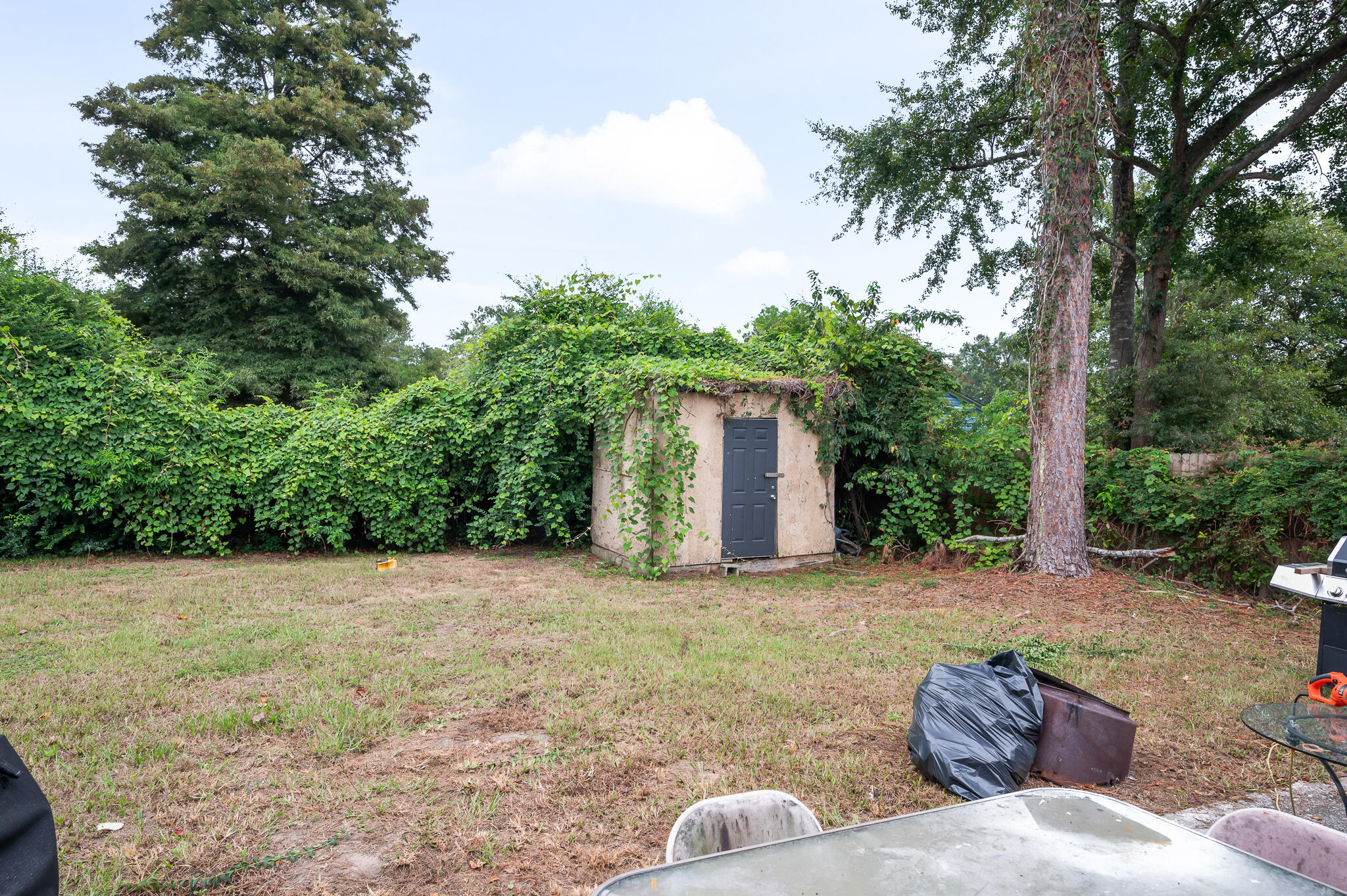 305 Gippy Drive