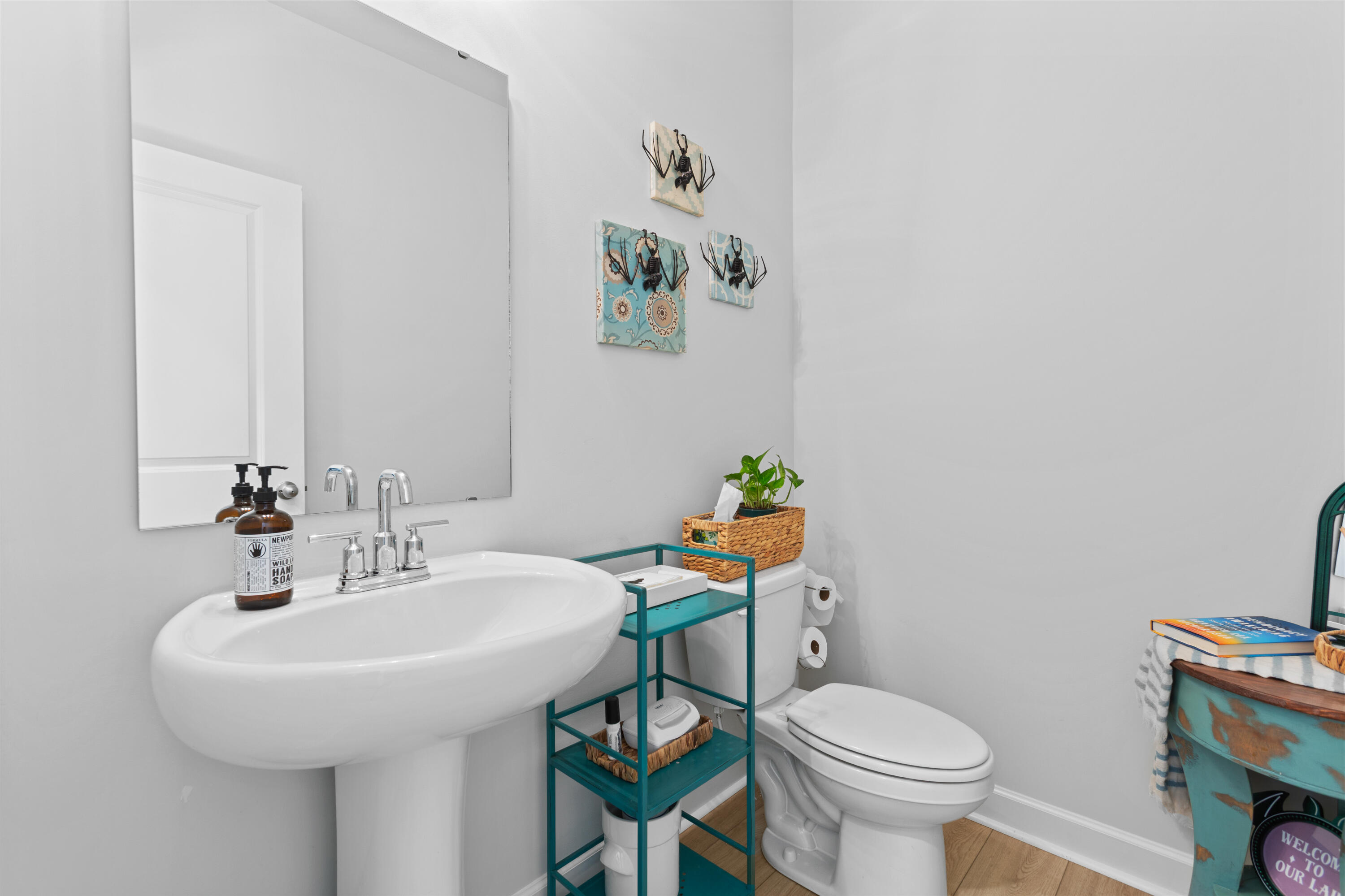 436 Navona Drive, Summerville