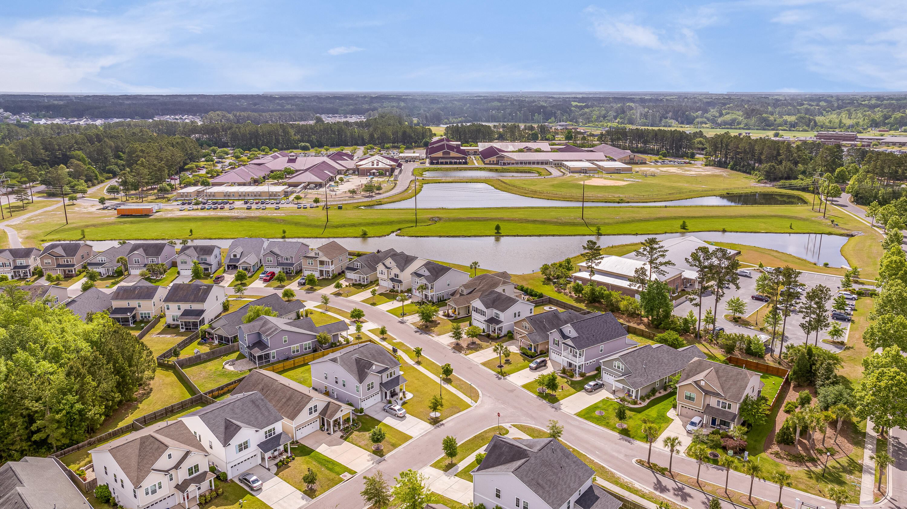 209 Palmetto Walk Drive