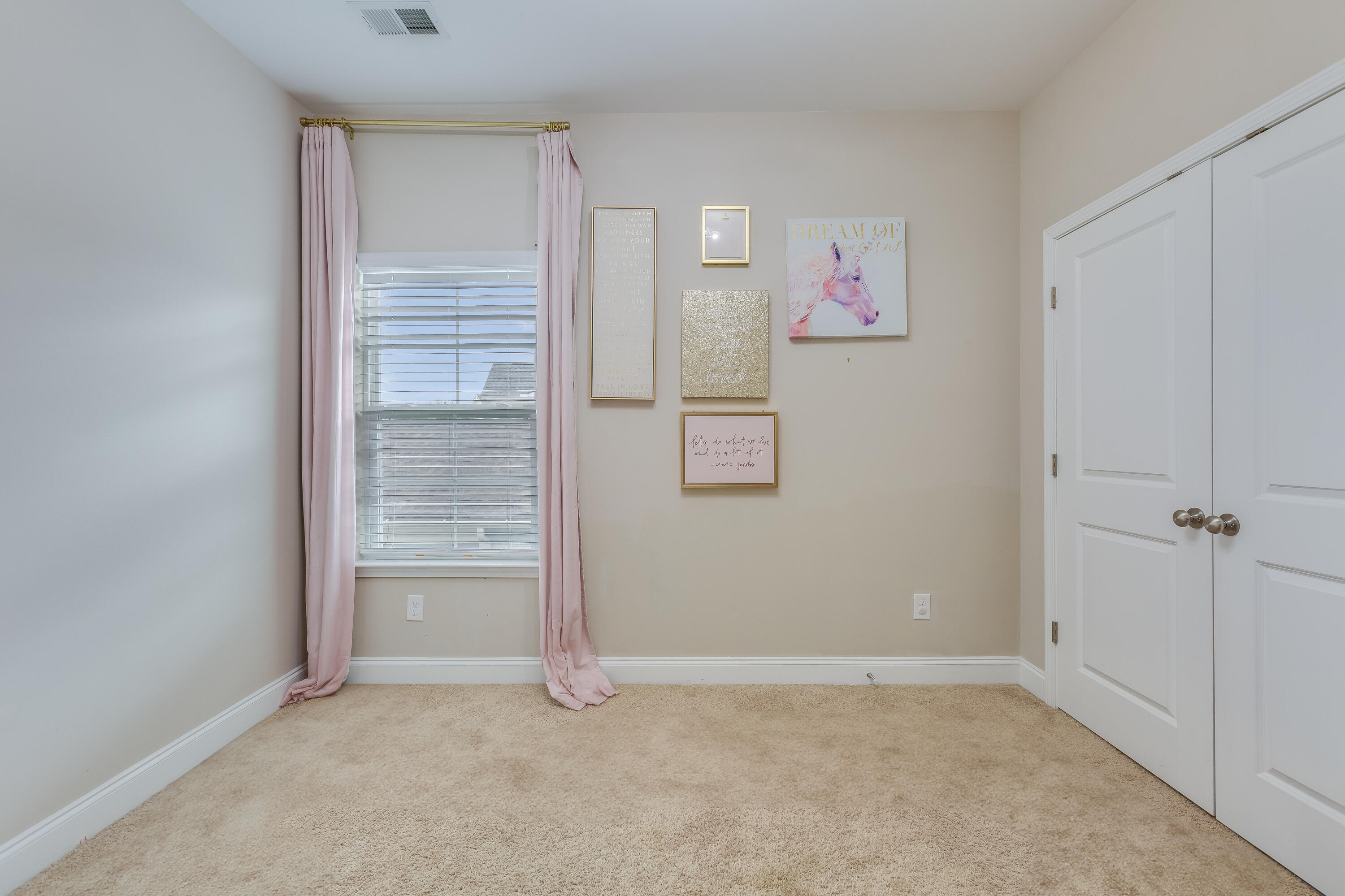 209 Palmetto Walk Drive