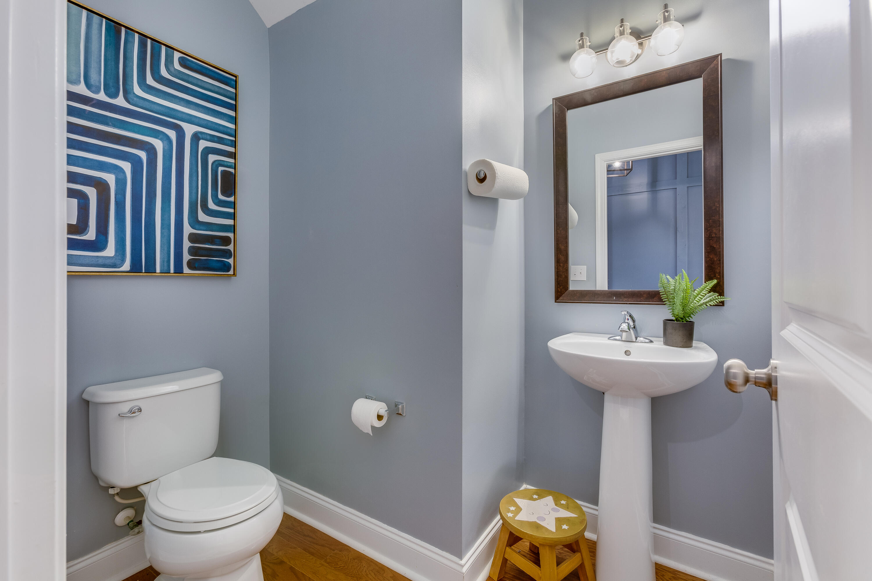 209 Palmetto Walk Drive