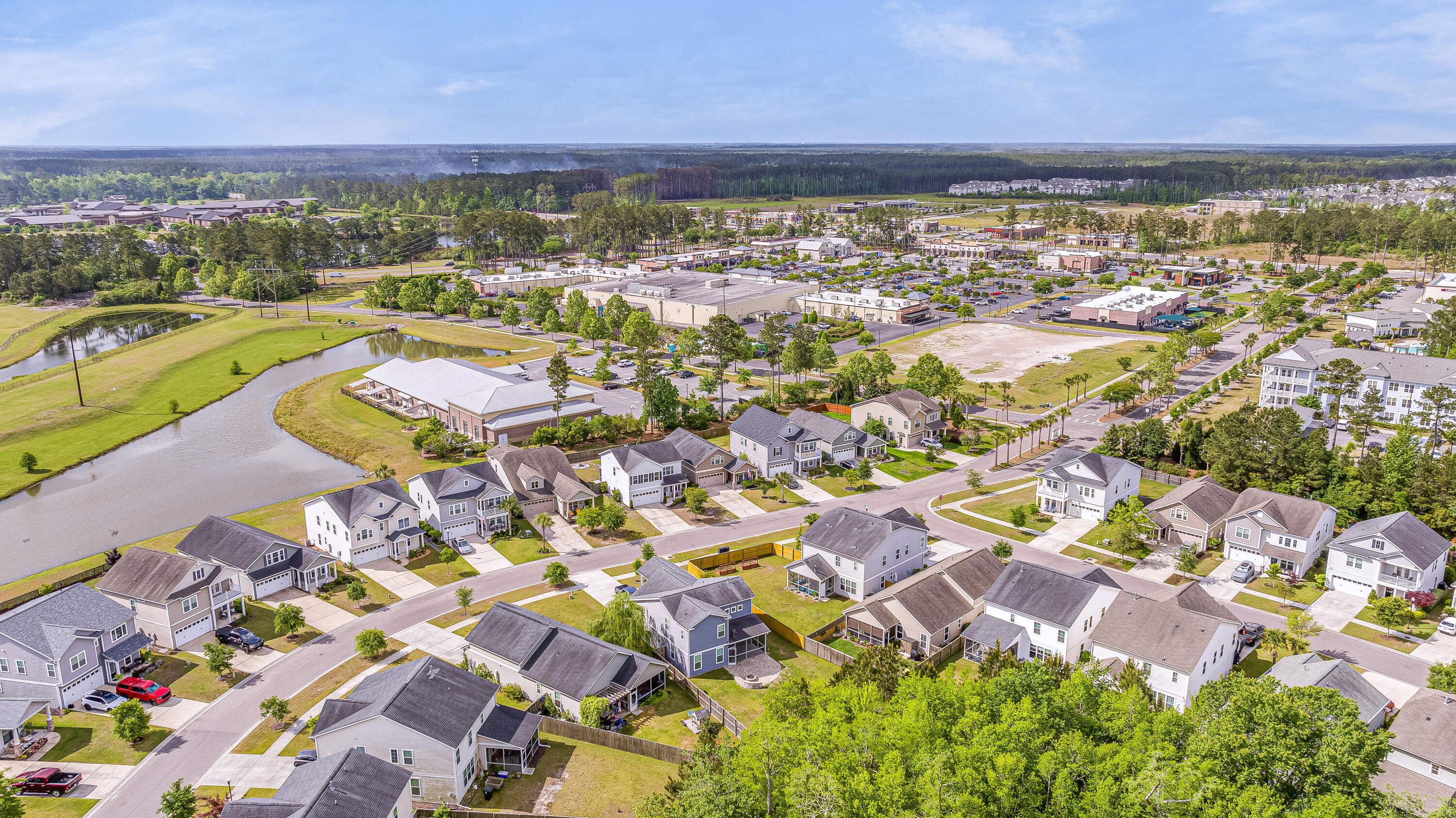 209 Palmetto Walk Drive