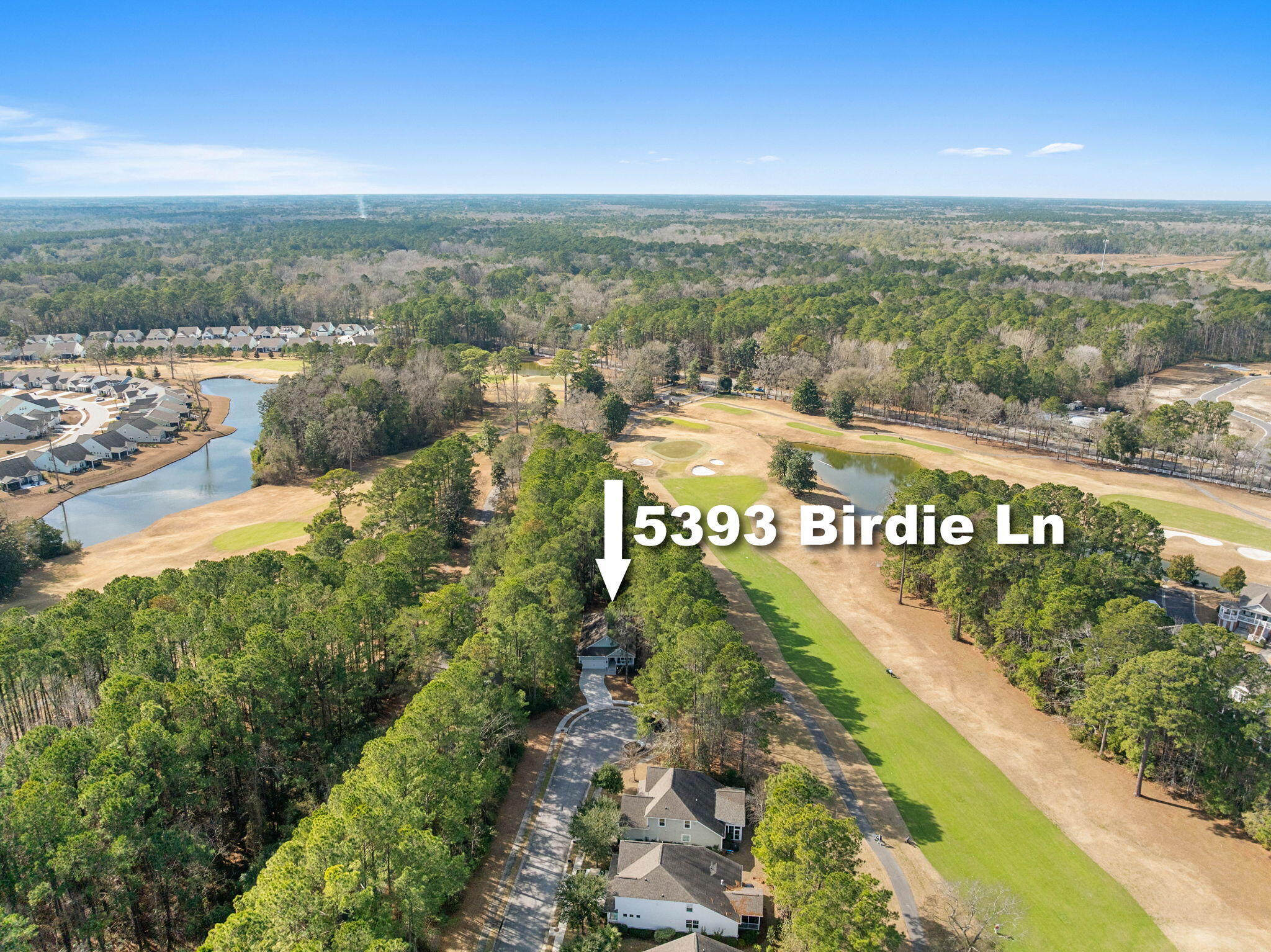 5393 Birdie Lane