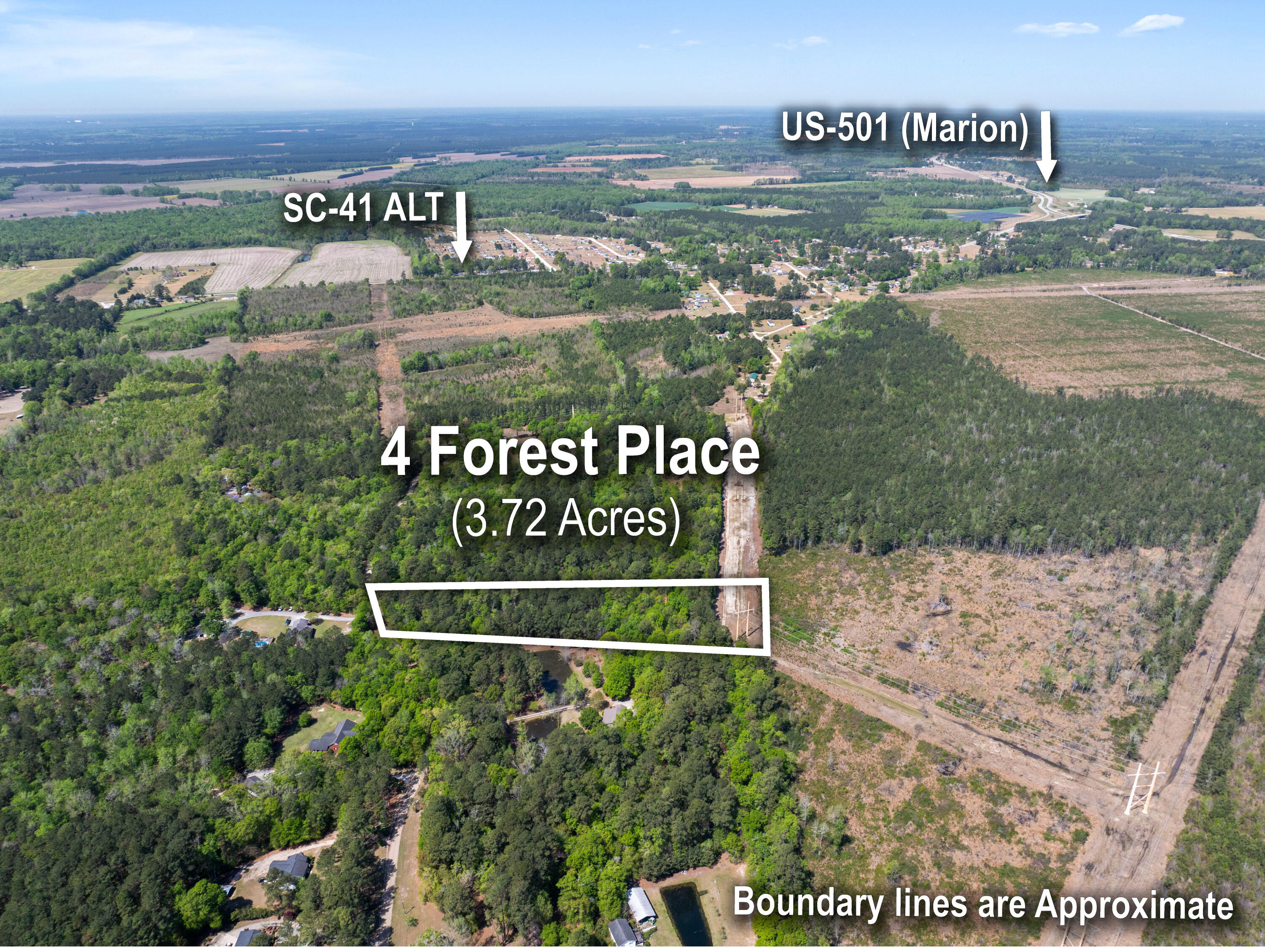 4 Forest Place