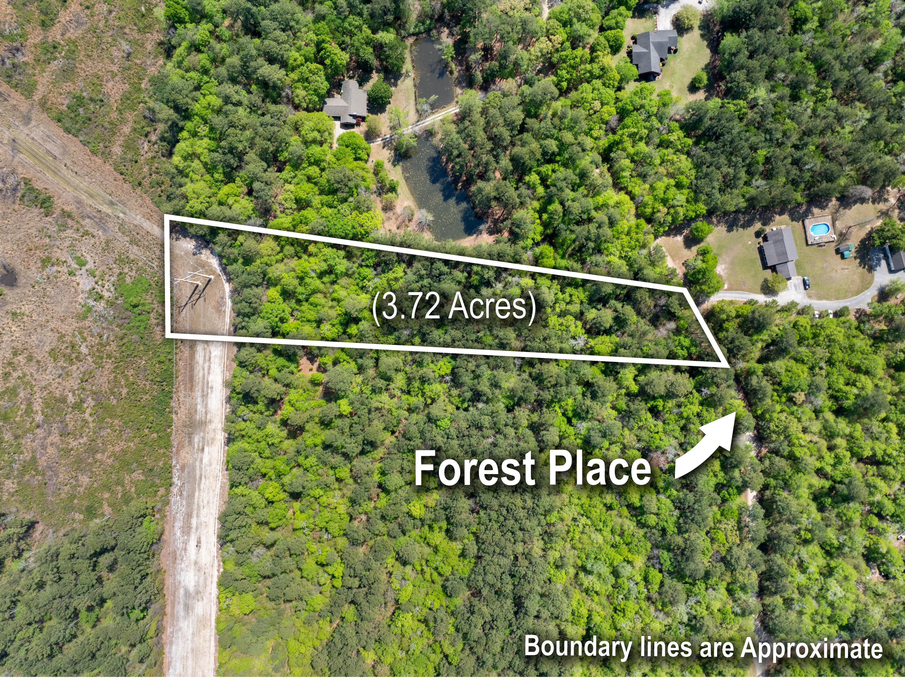 4 Forest Place