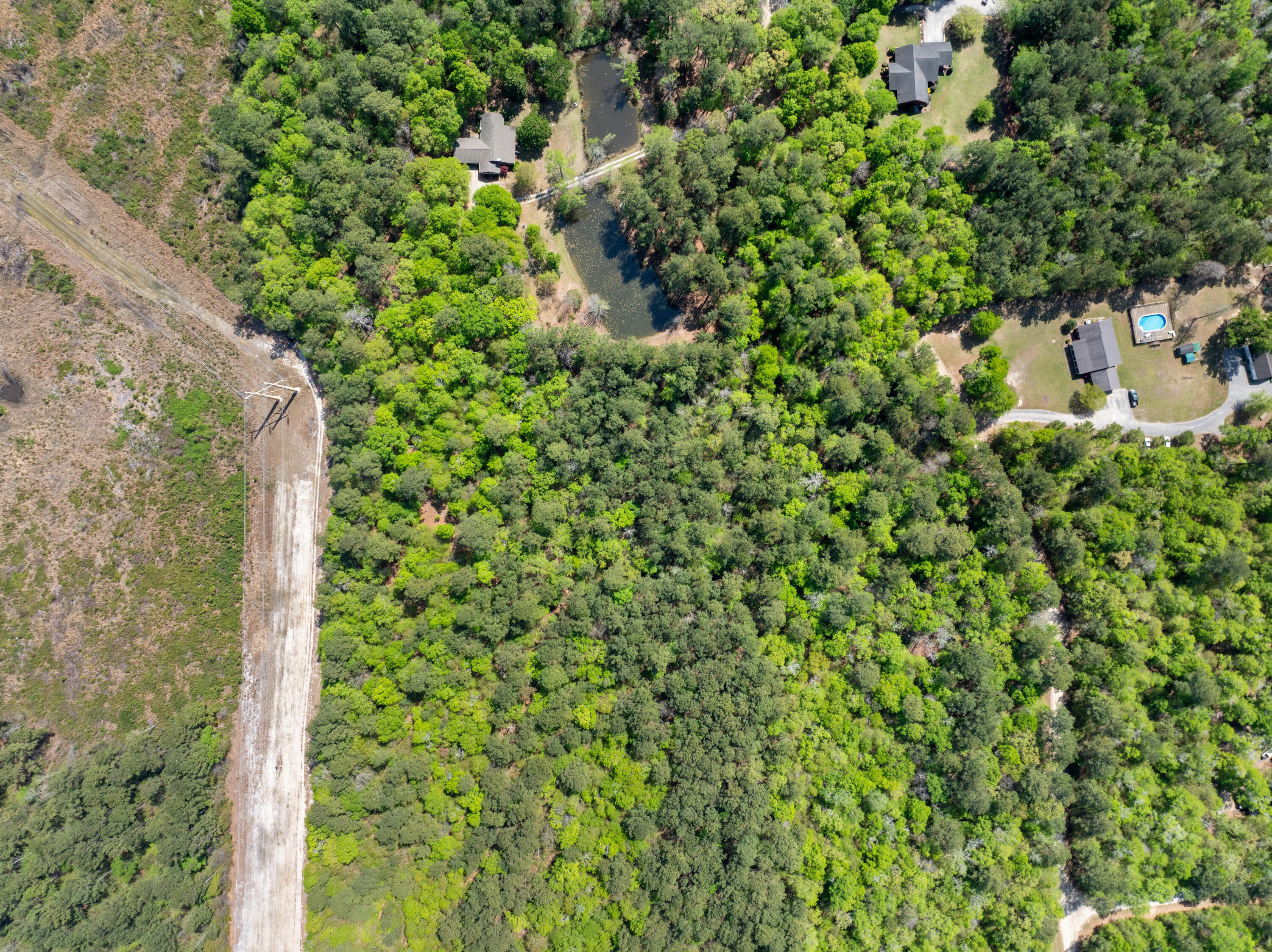 4 Forest Place