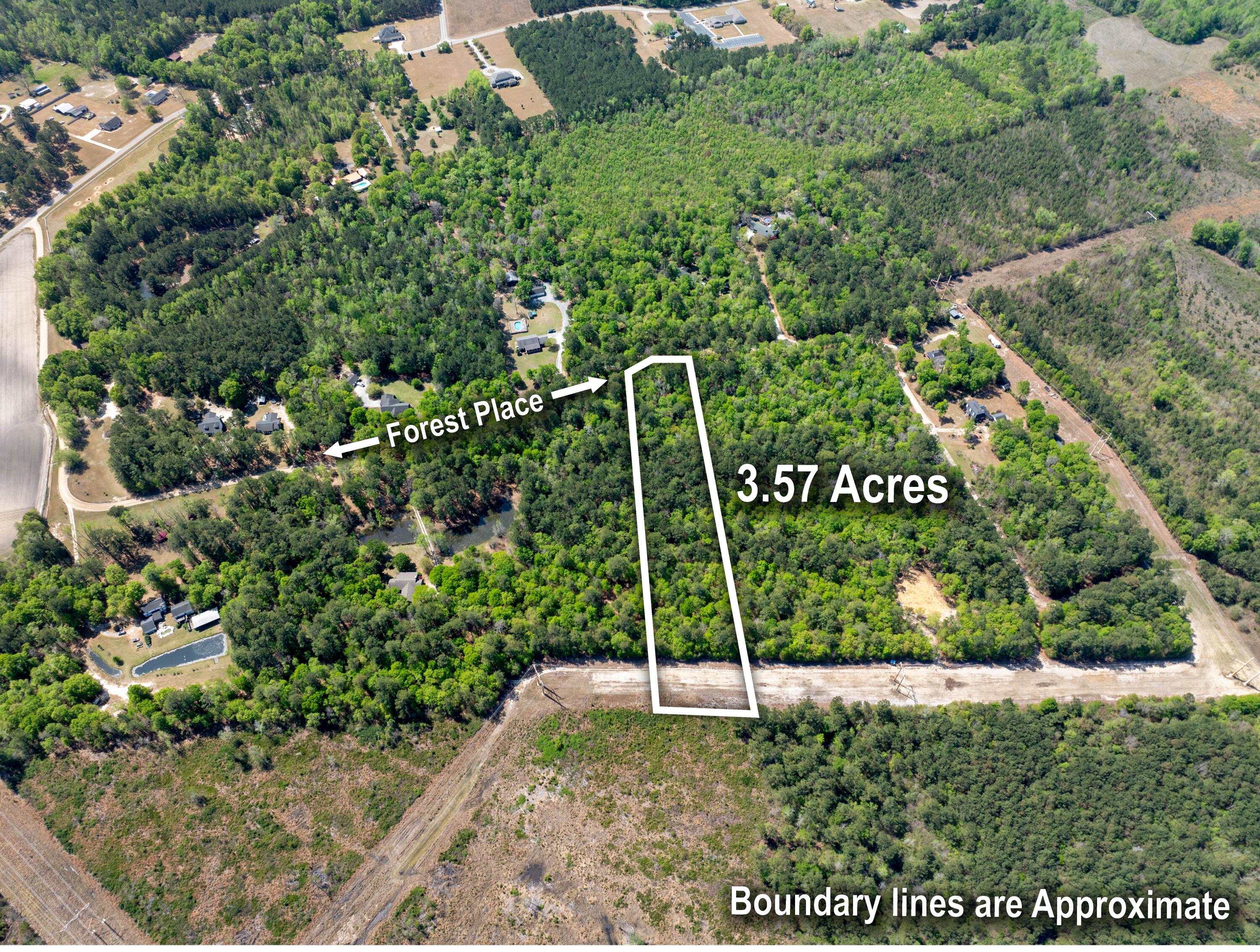 0 Forest Place