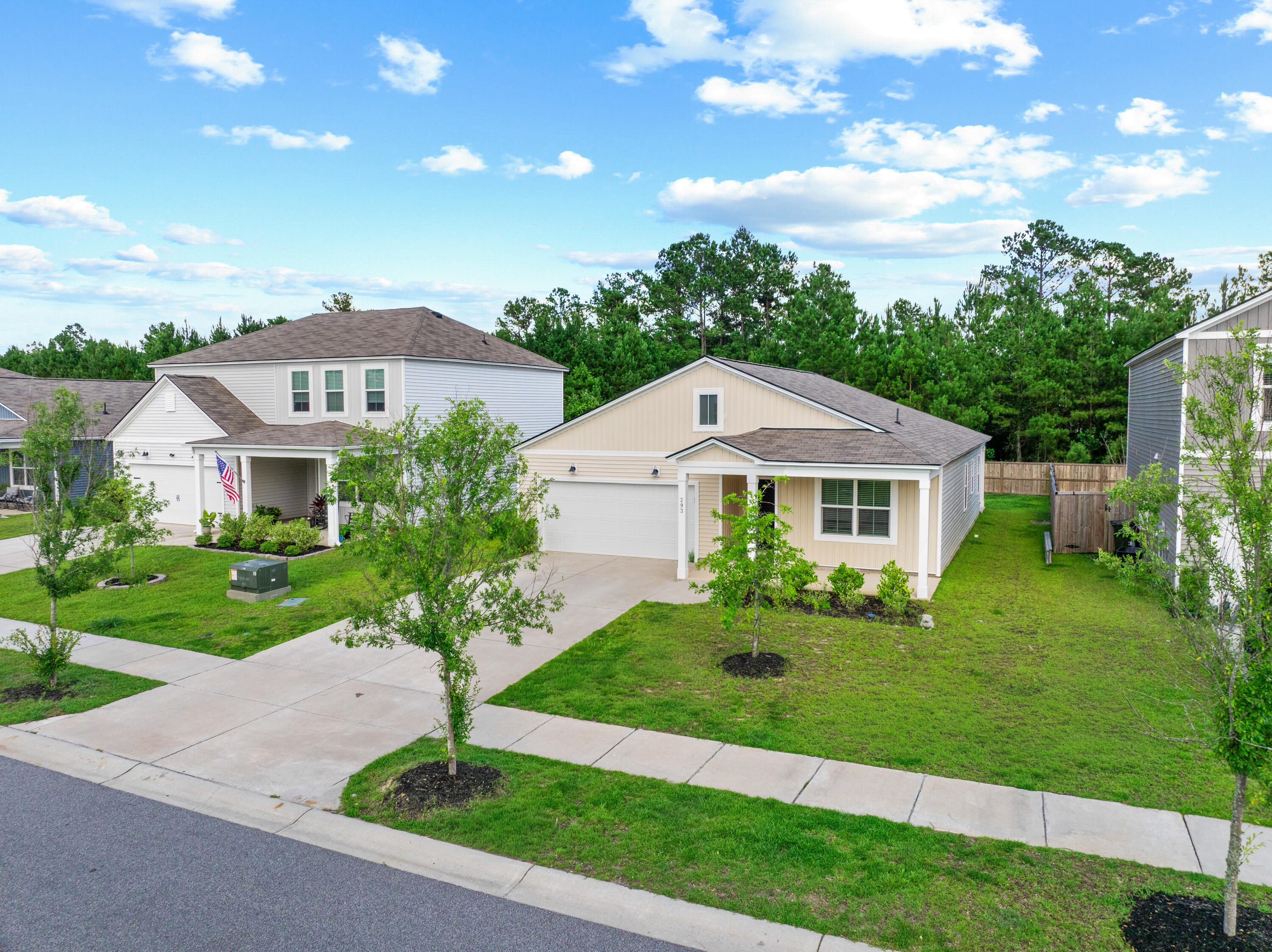 293 W Bradford Pointe Drive