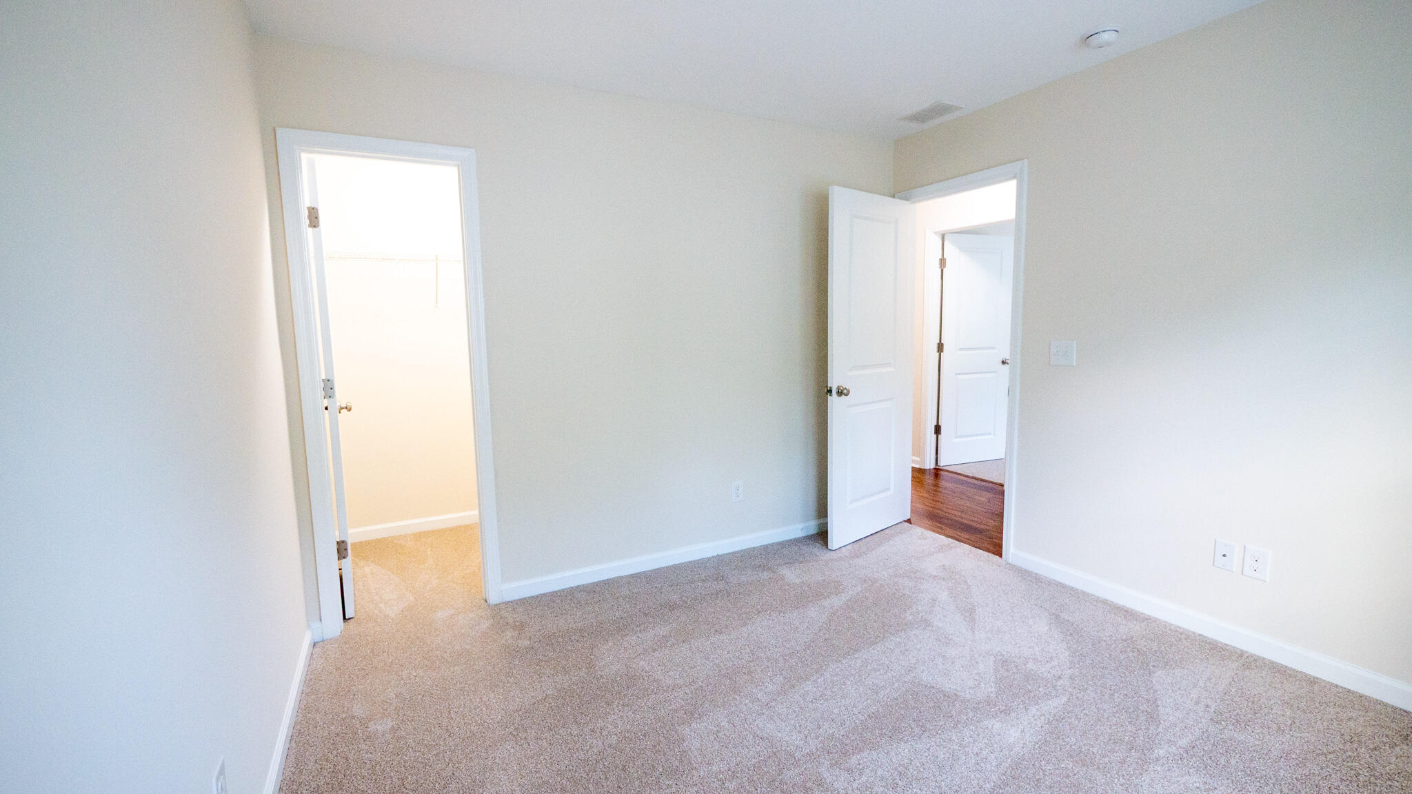 1634 Sparkleberry Lane