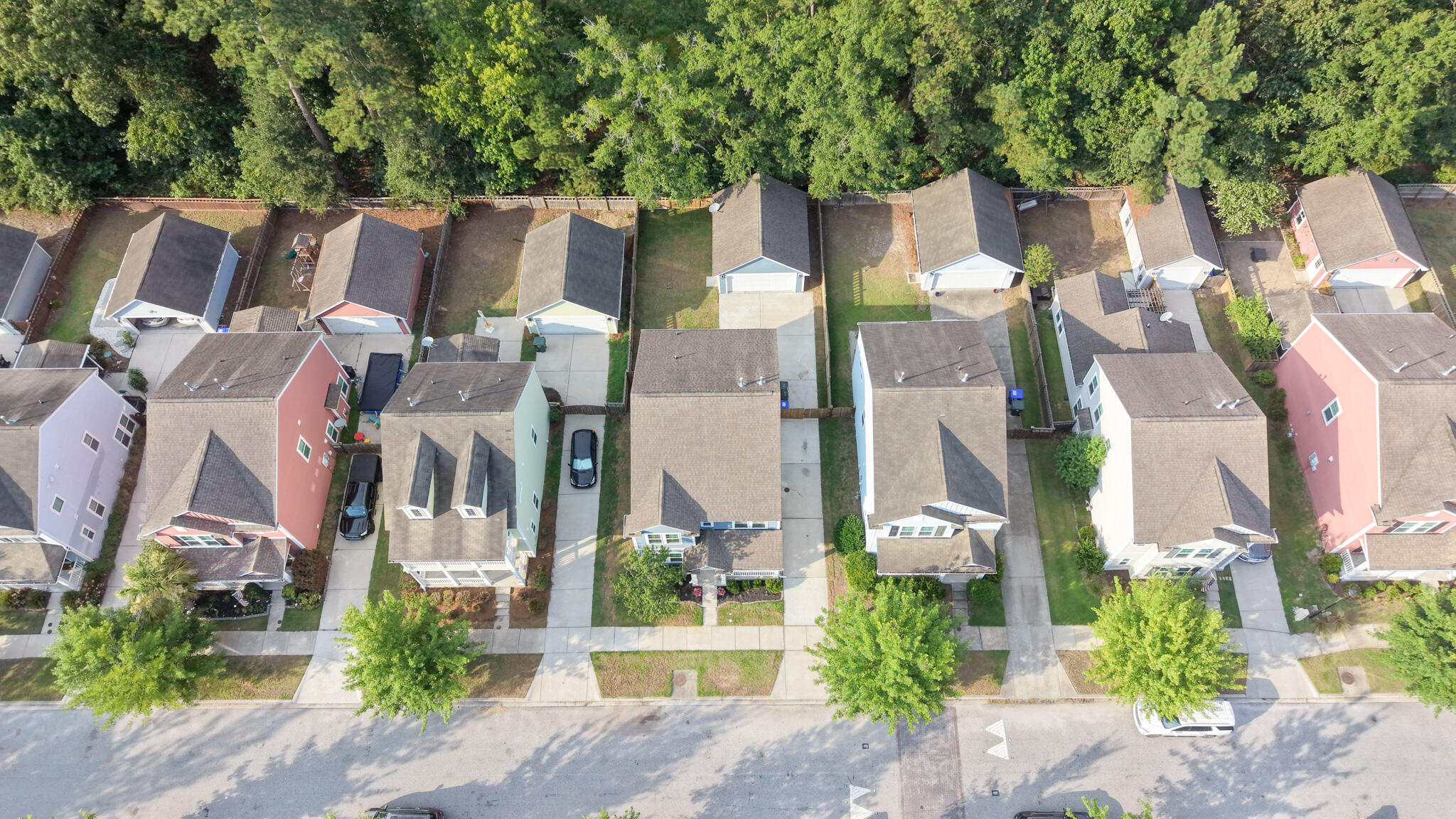 1634 Sparkleberry Lane