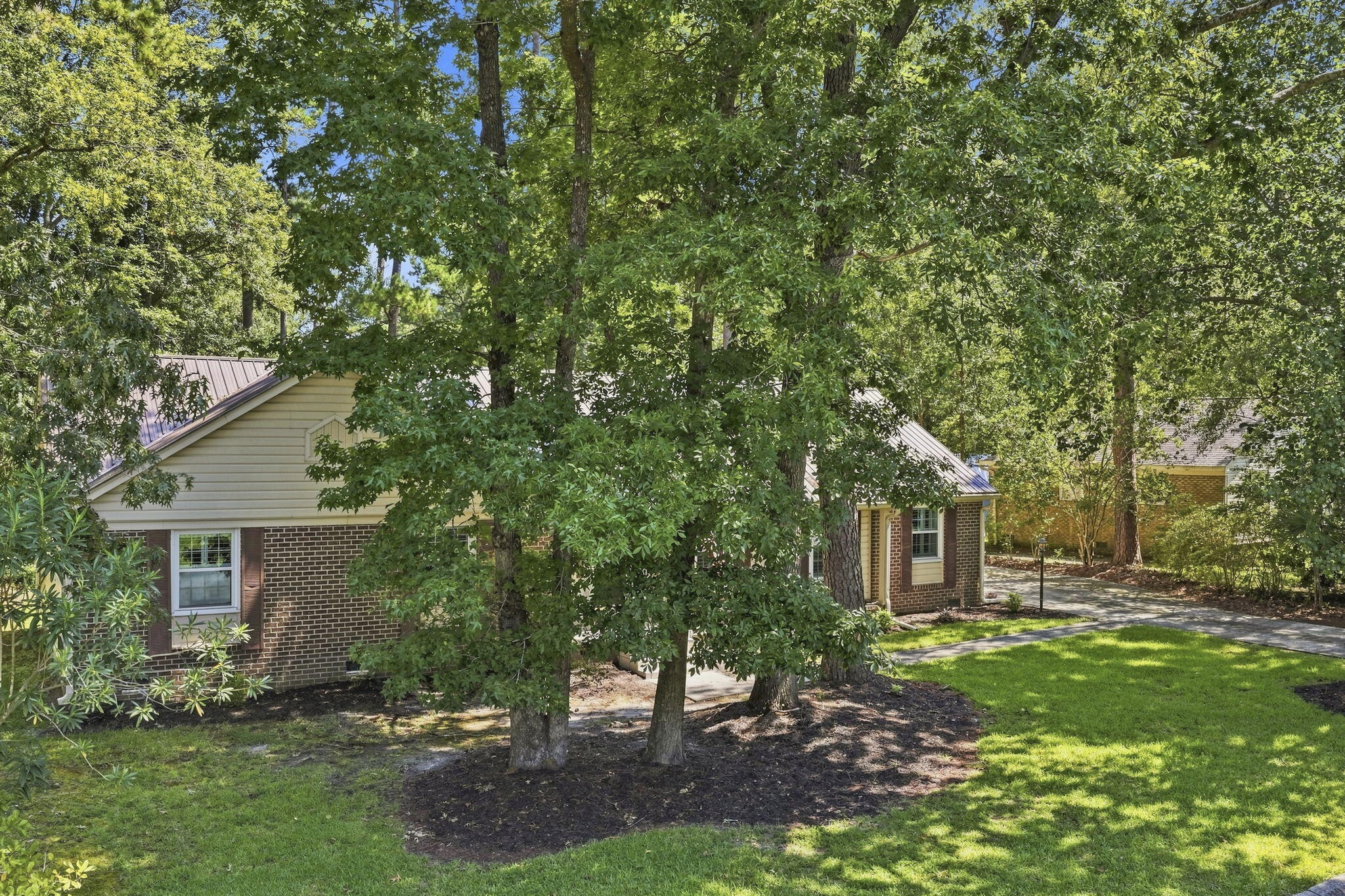 219 Shaftesbury Lane