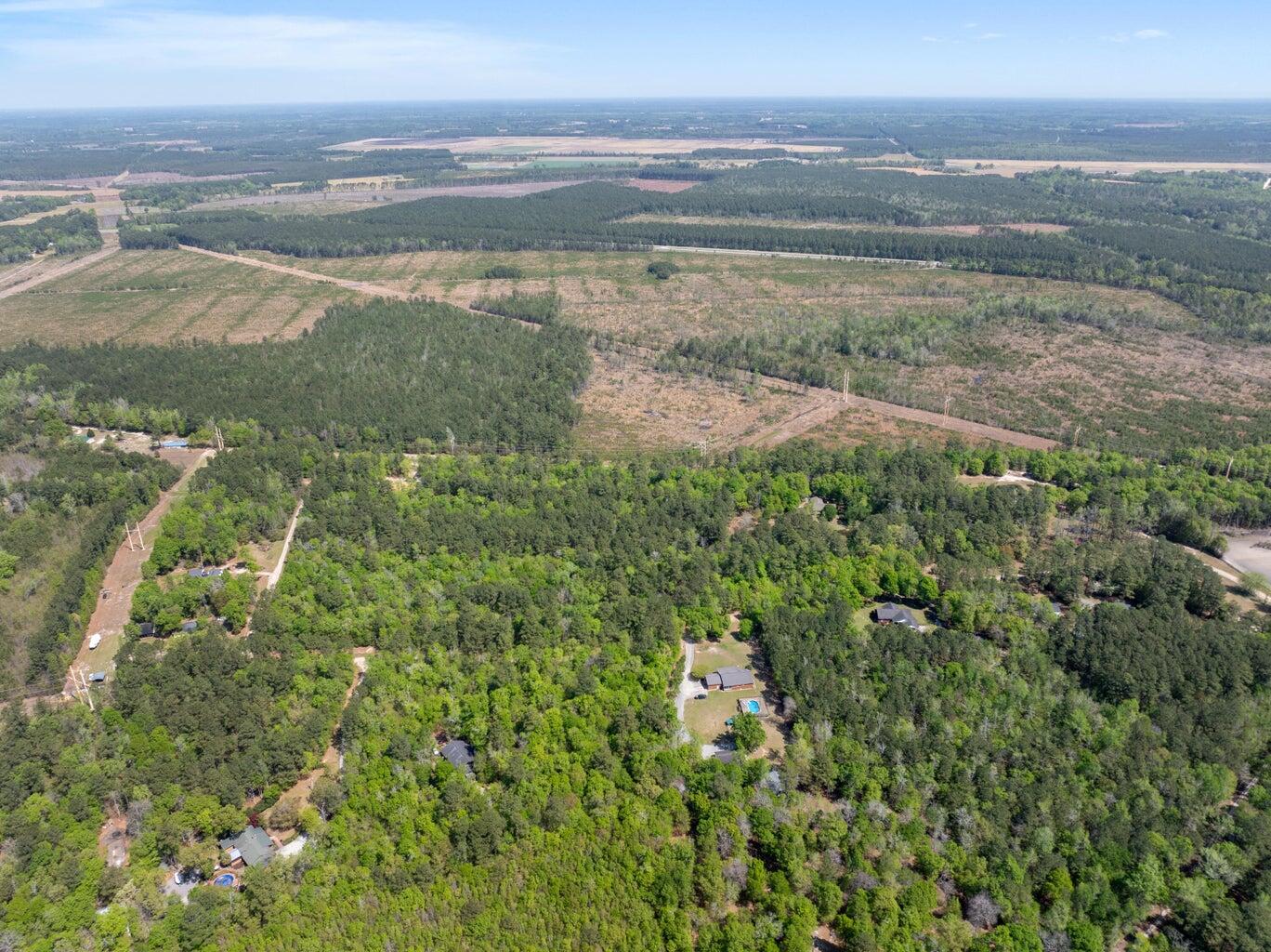 4 Forest Place