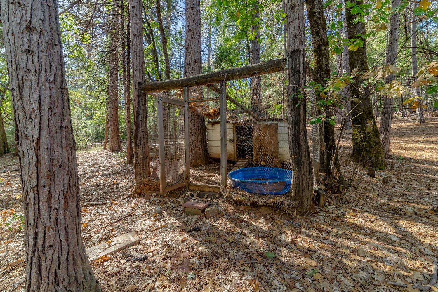 9598 Wright Lane