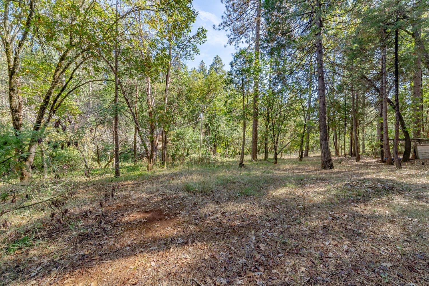 9598 Wright Lane