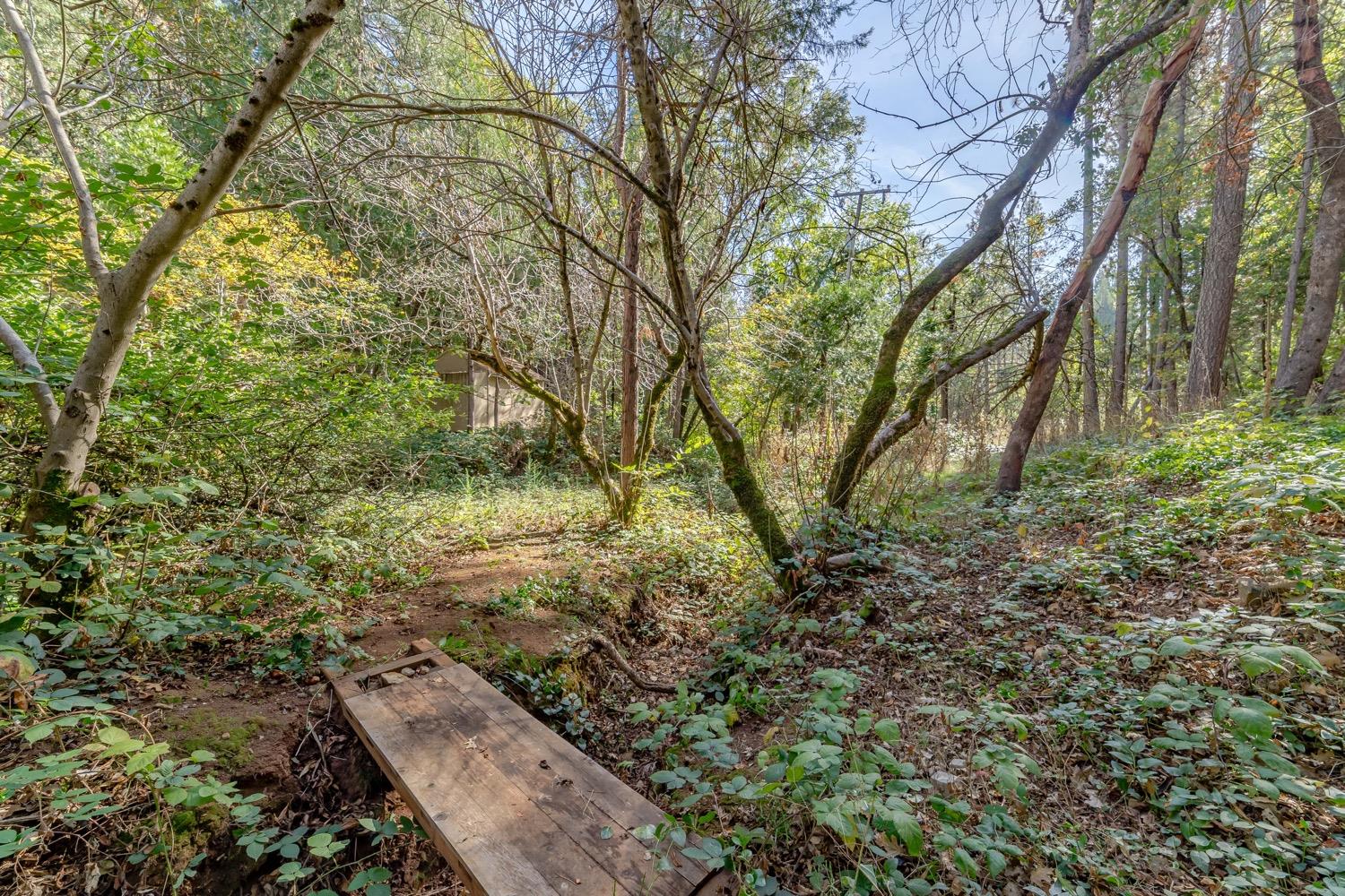 9598 Wright Lane