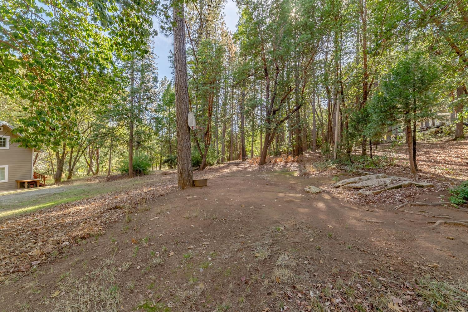 9598 Wright Lane