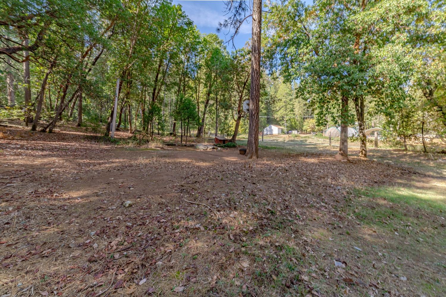 9598 Wright Lane